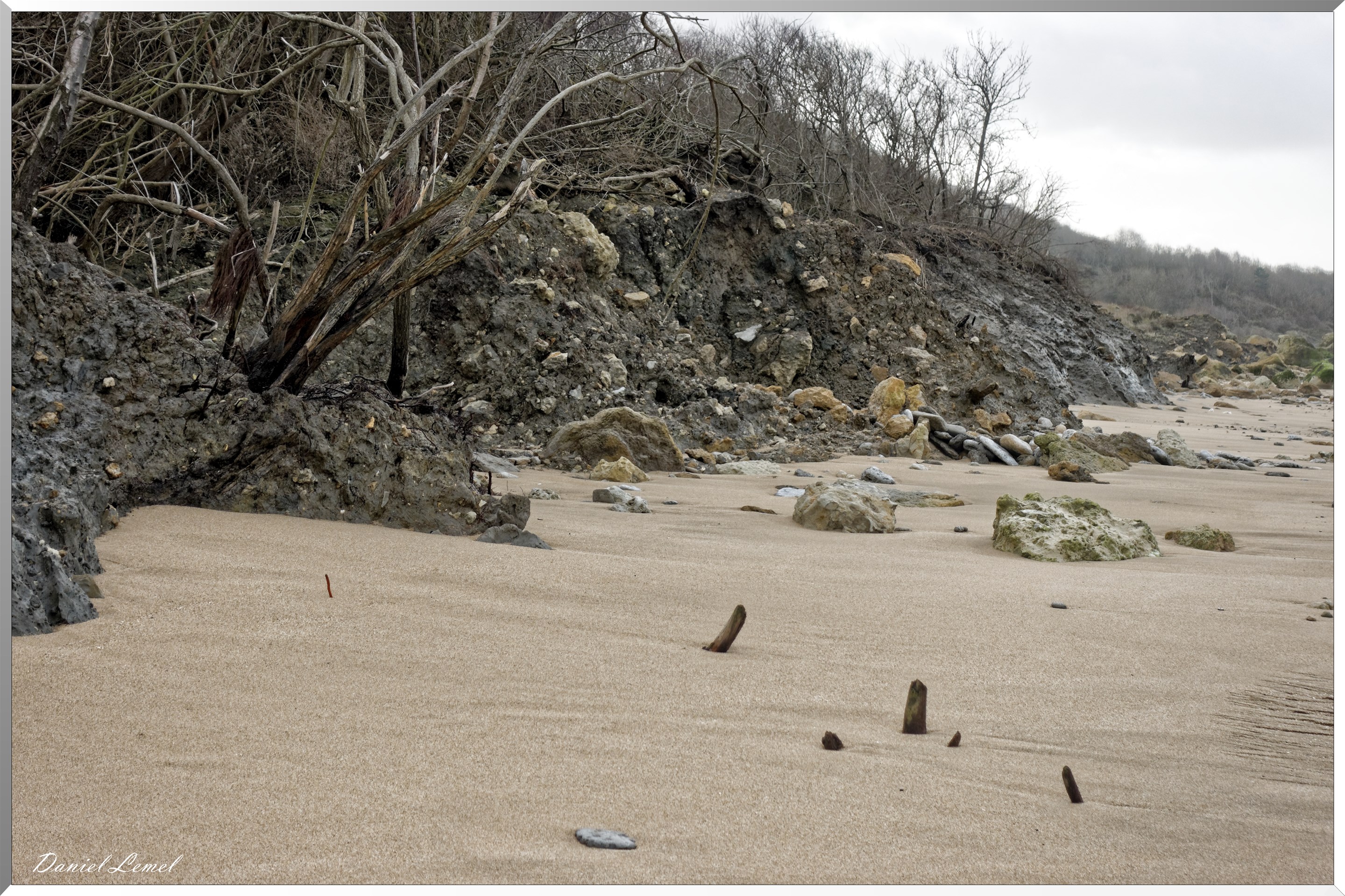 Falaises des vaches noires