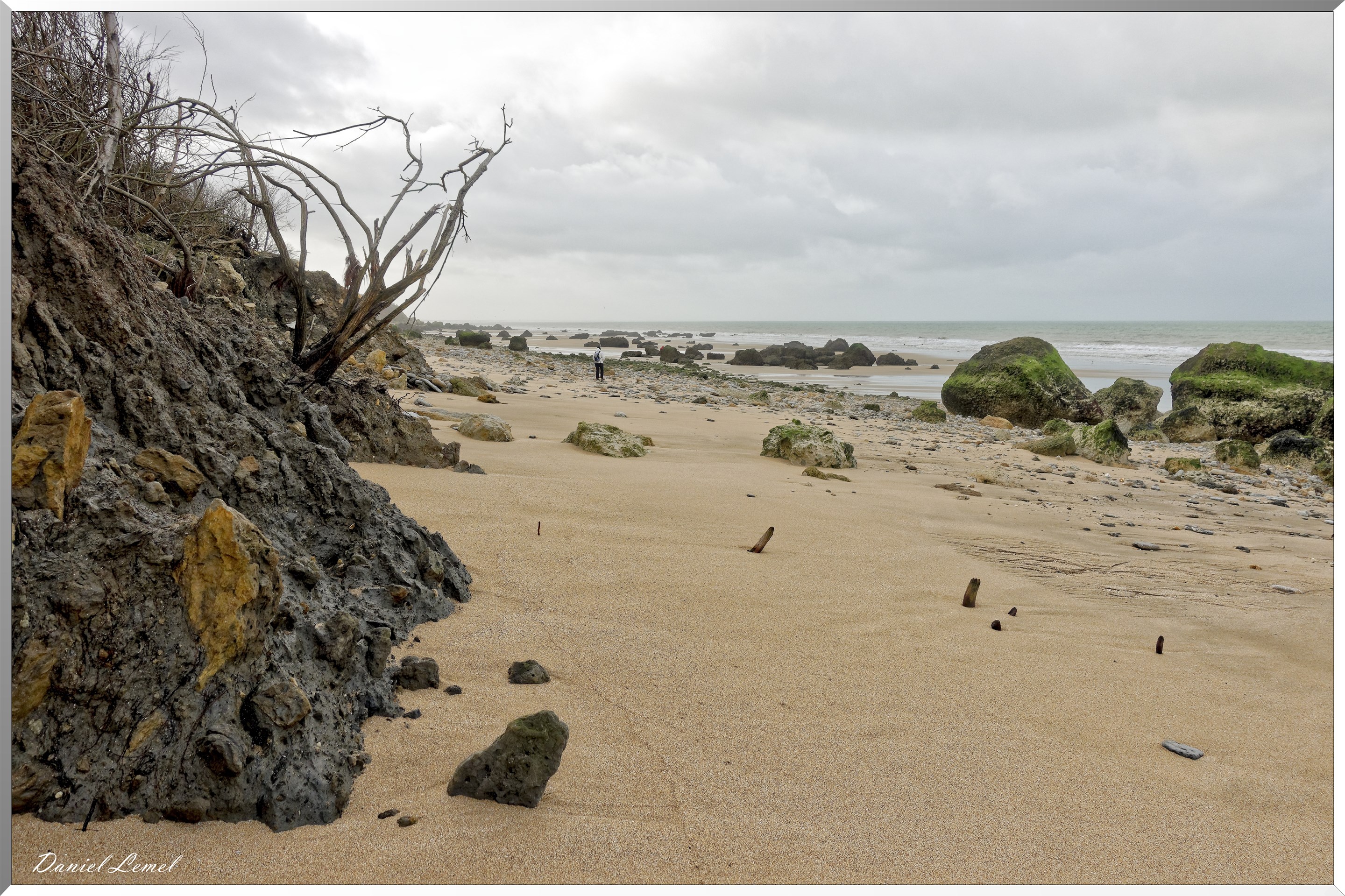 Falaises des vaches noires