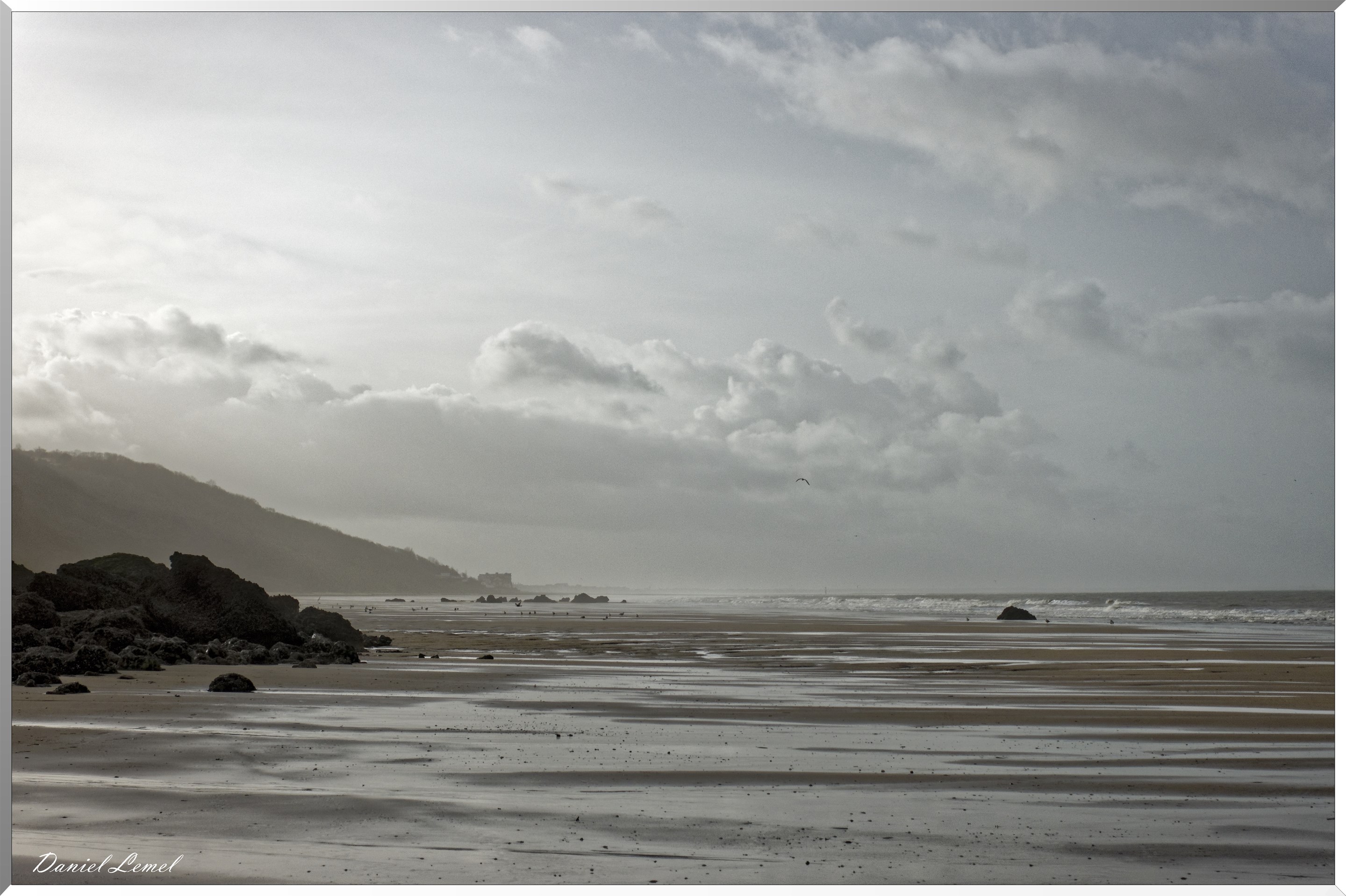Falaises des vaches noires