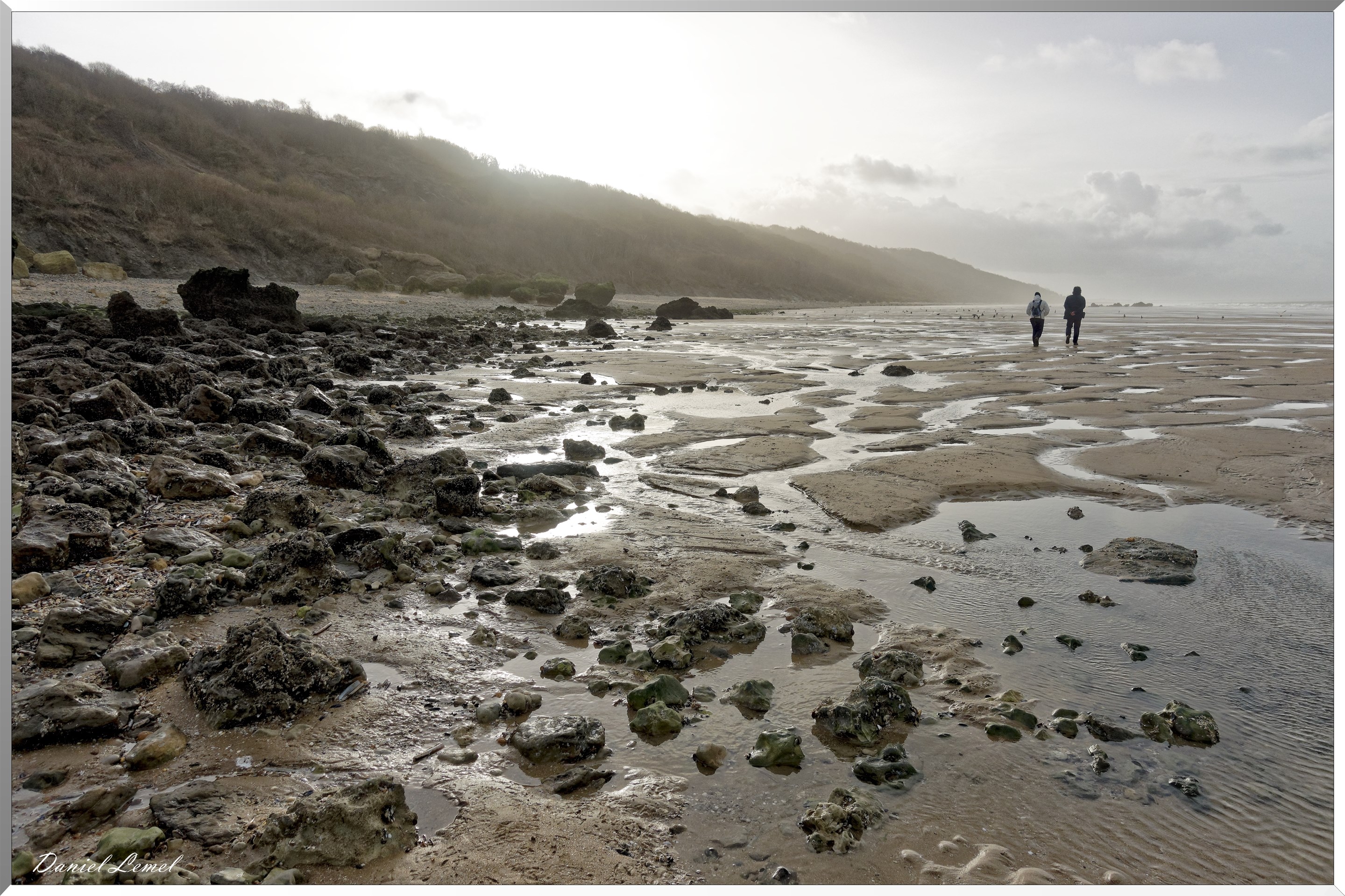Falaises des vaches noires