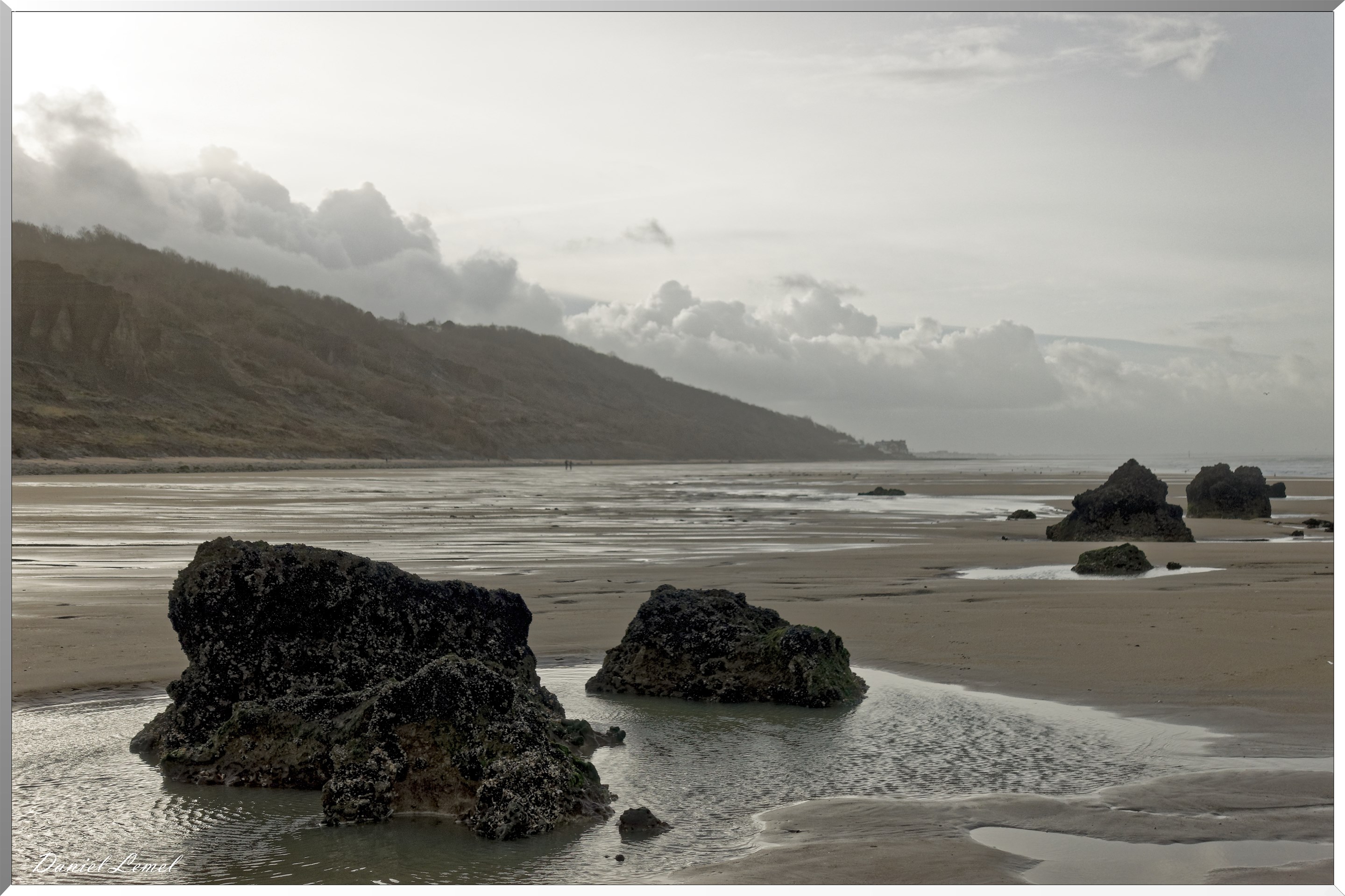 Falaises des vaches noires