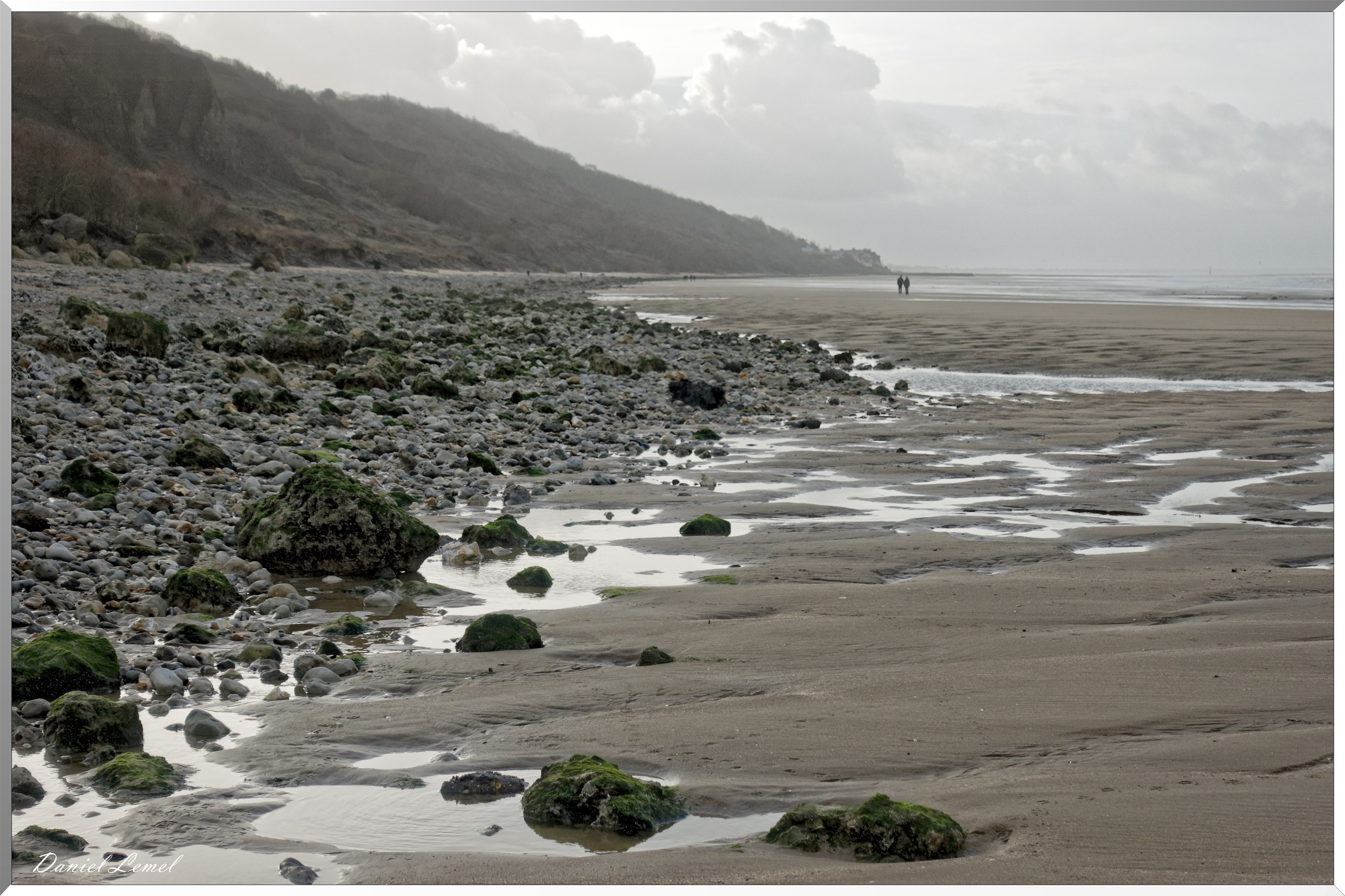 Falaises des vaches noires