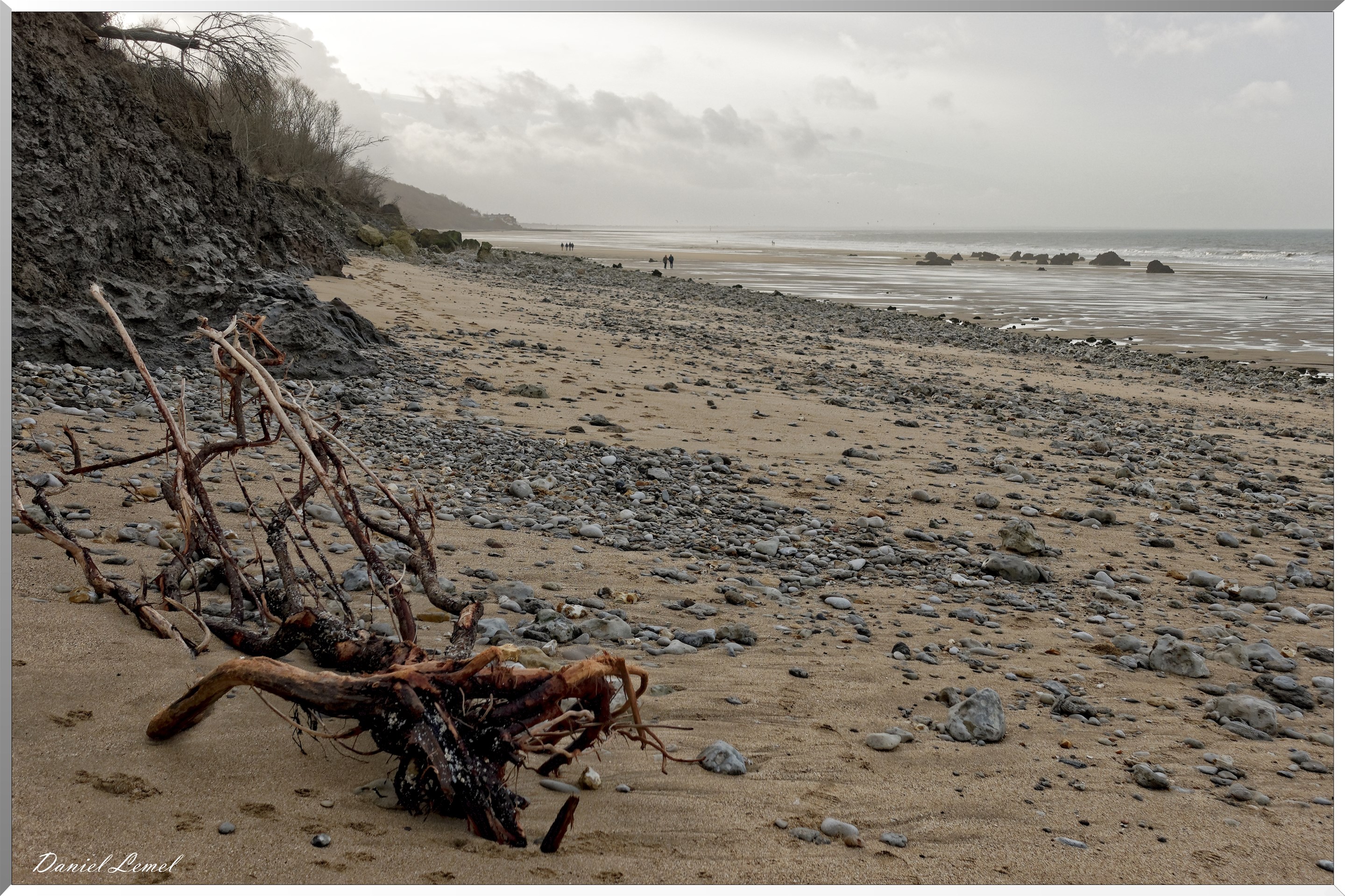 Falaises des vaches noires