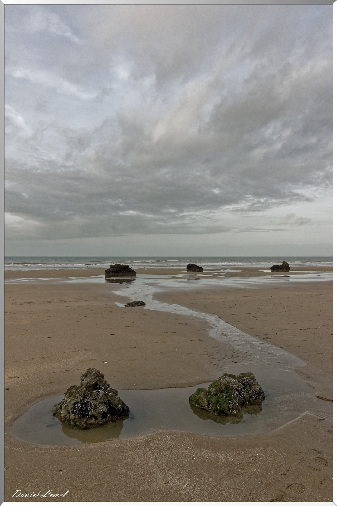 Falaises des vaches noires