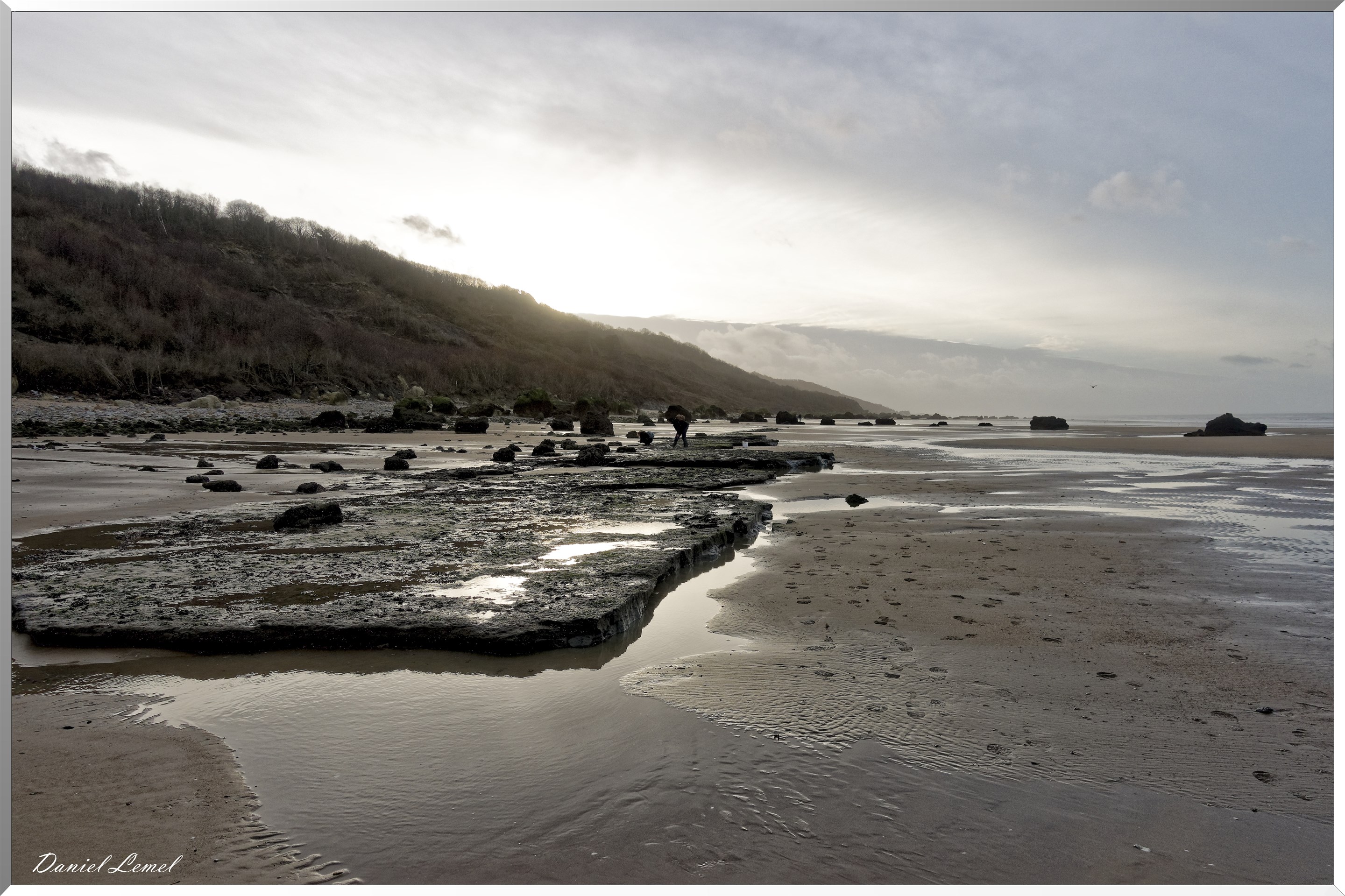 Falaises des vaches noires