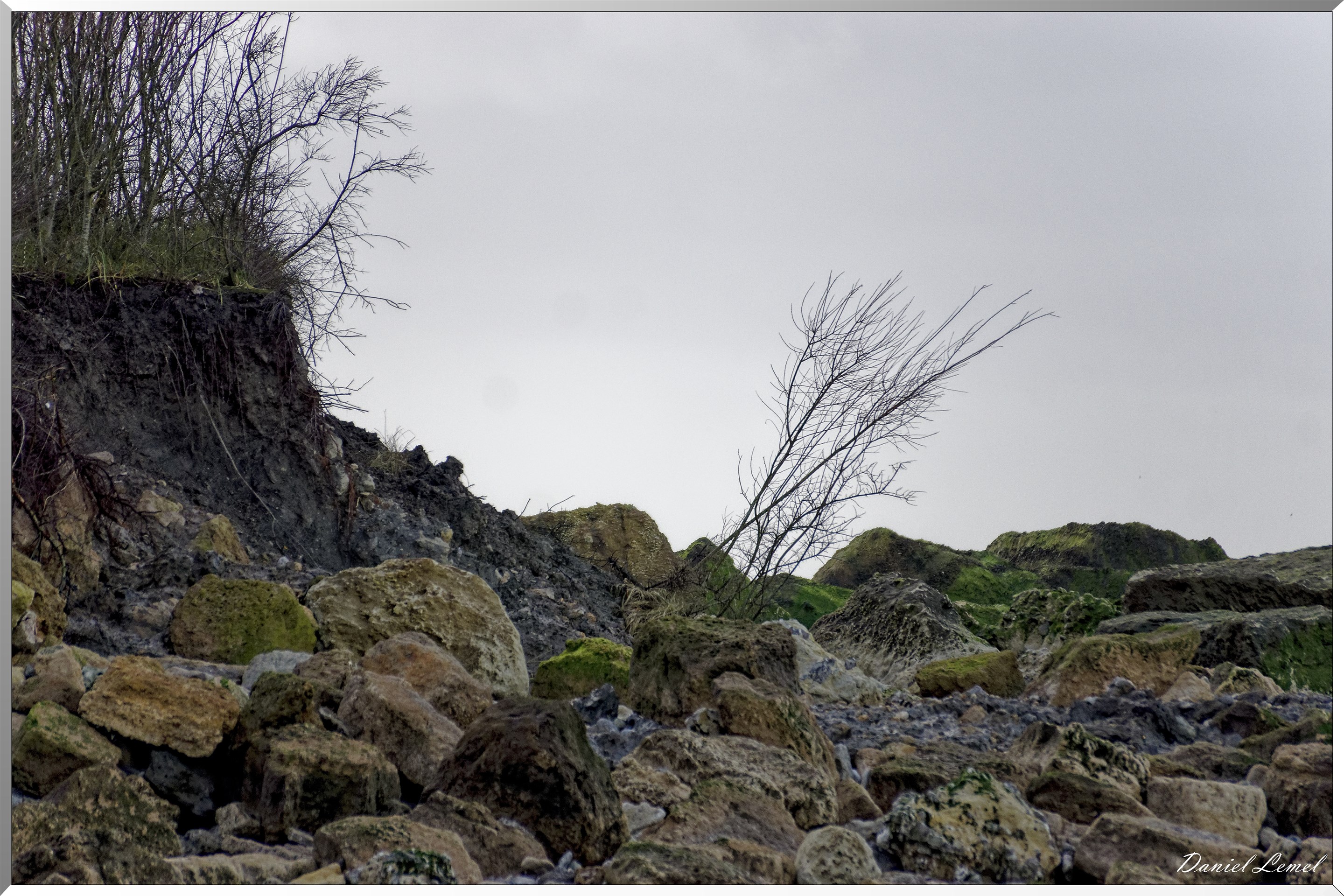 Falaises des vaches noires