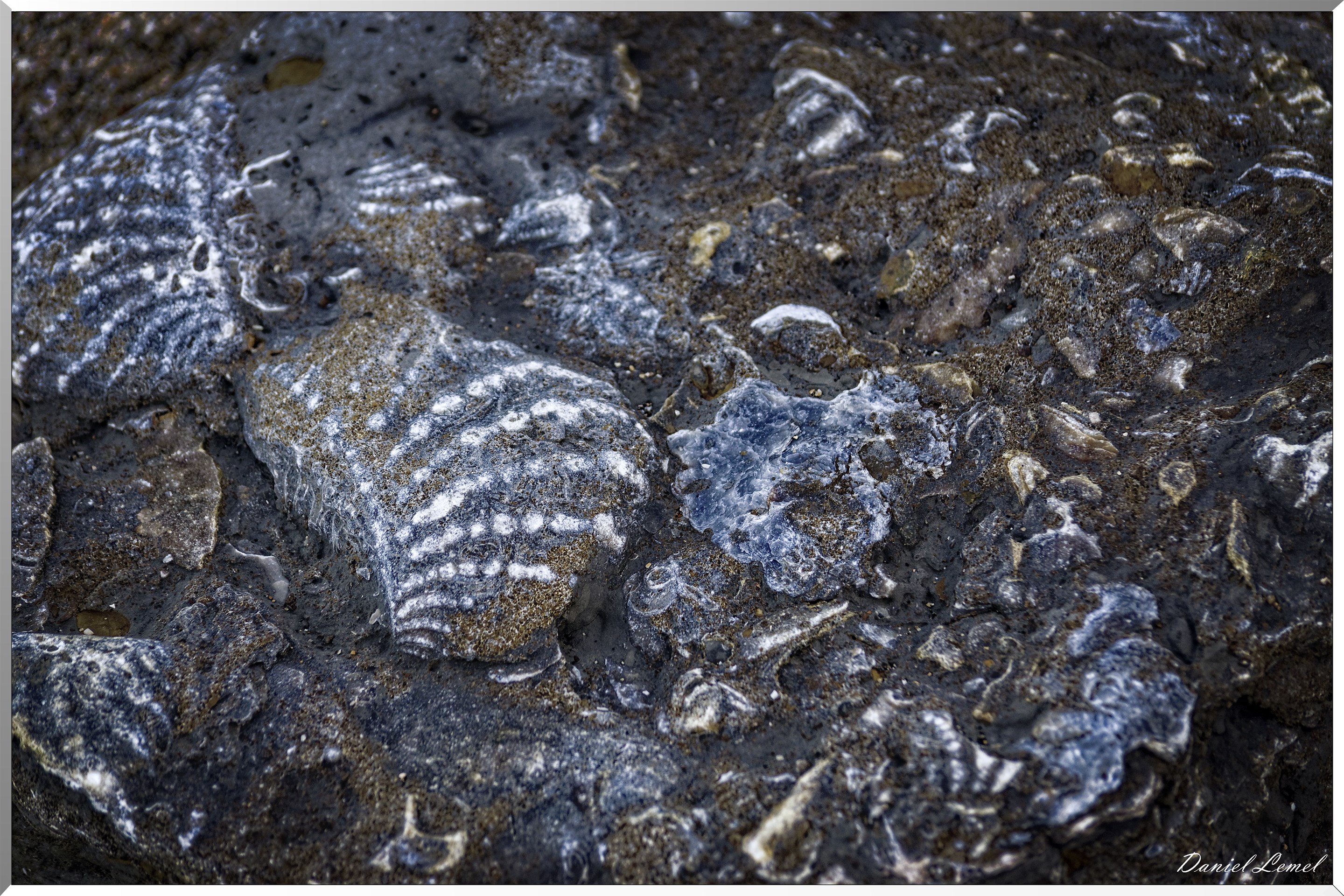 Falaises des vaches noires