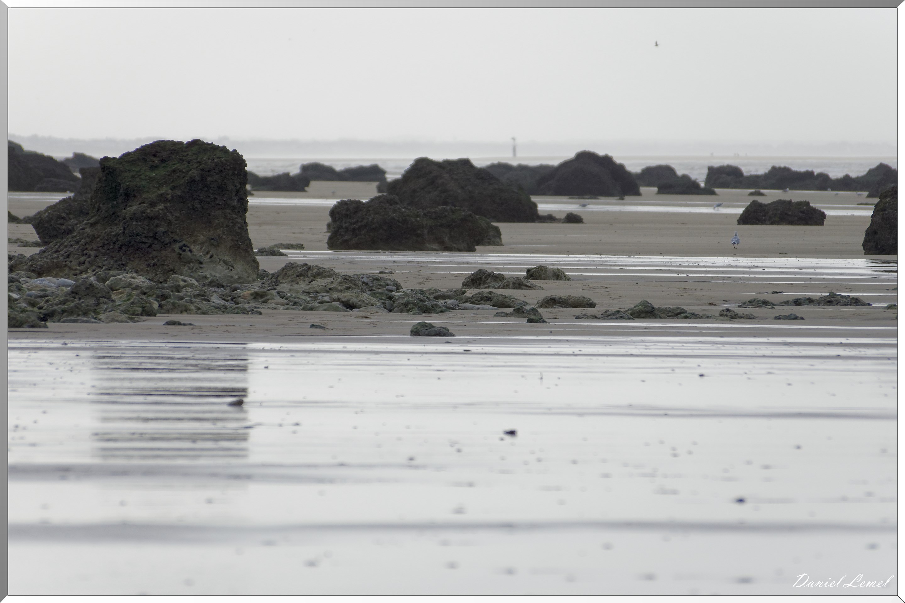 Falaises des vaches noires