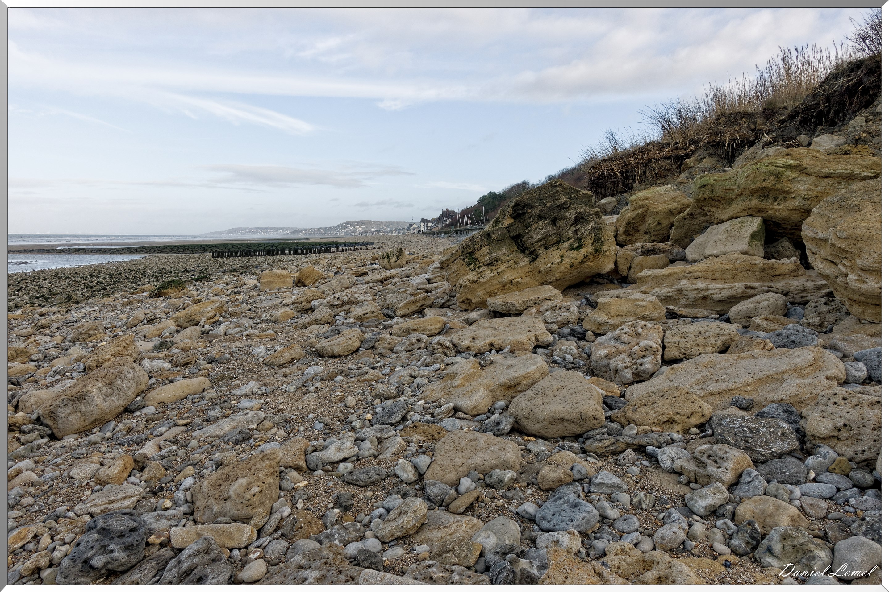 Falaises des vaches noires