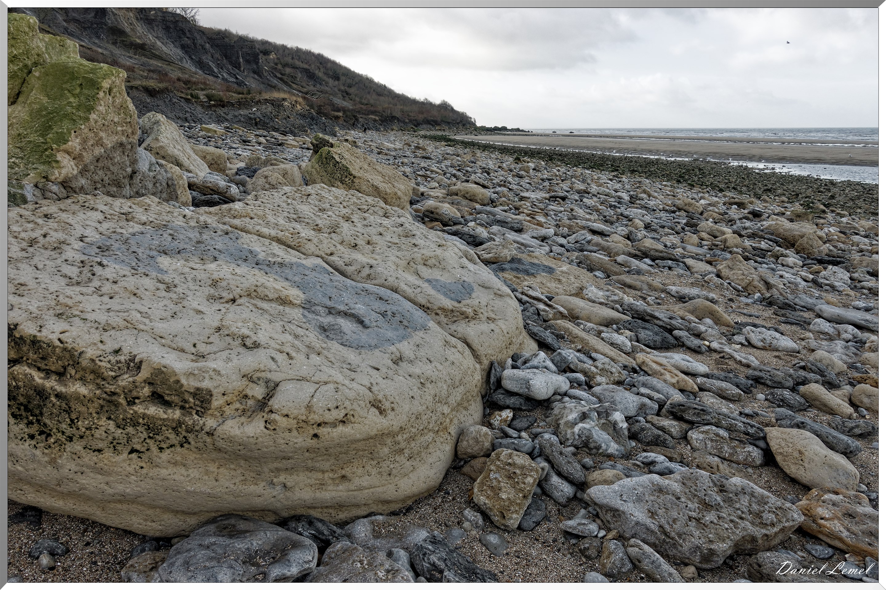 Falaises des vaches noires