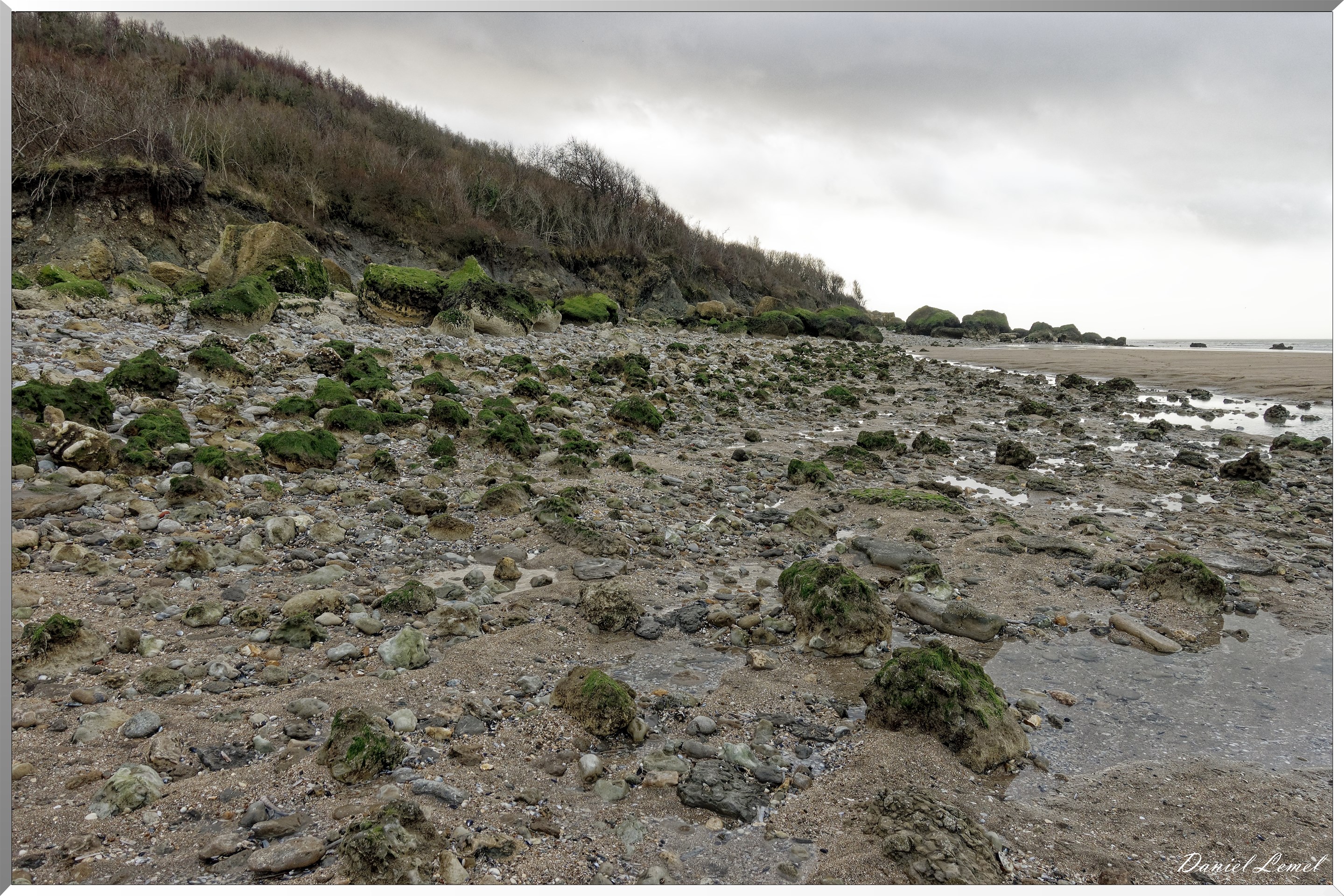 Falaises des vaches noires