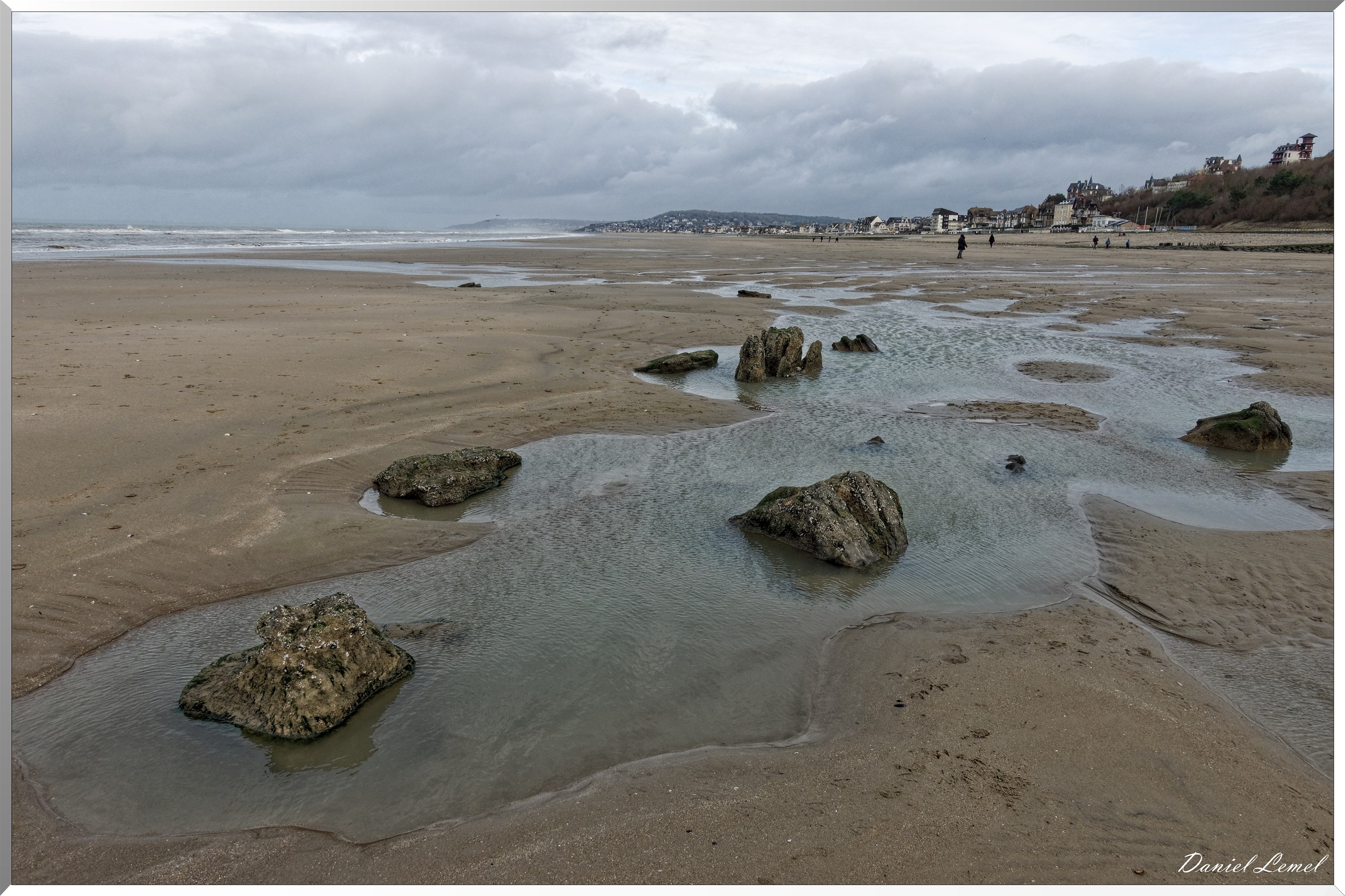 Falaises des vaches noires
