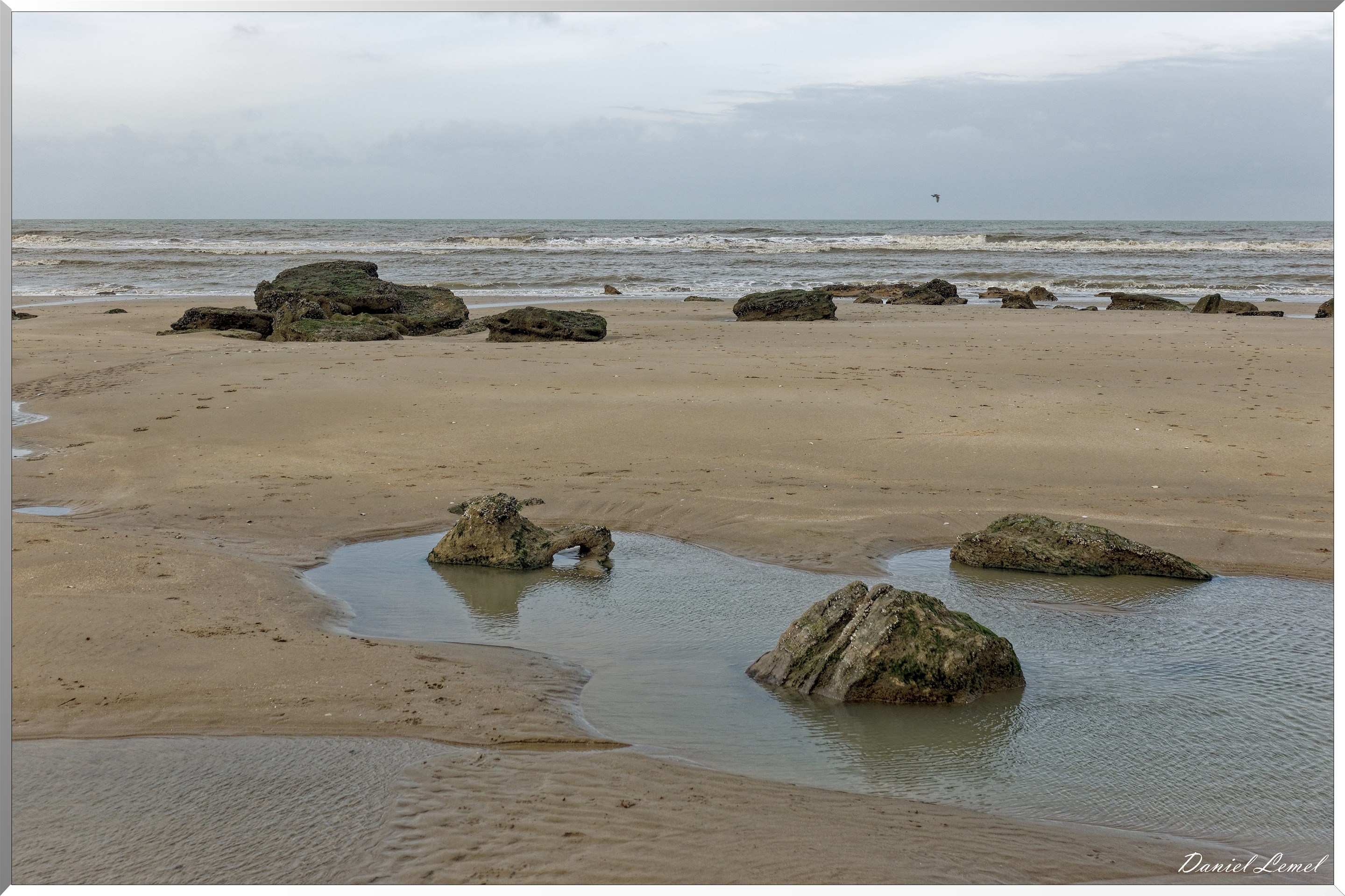 Falaises des vaches noires