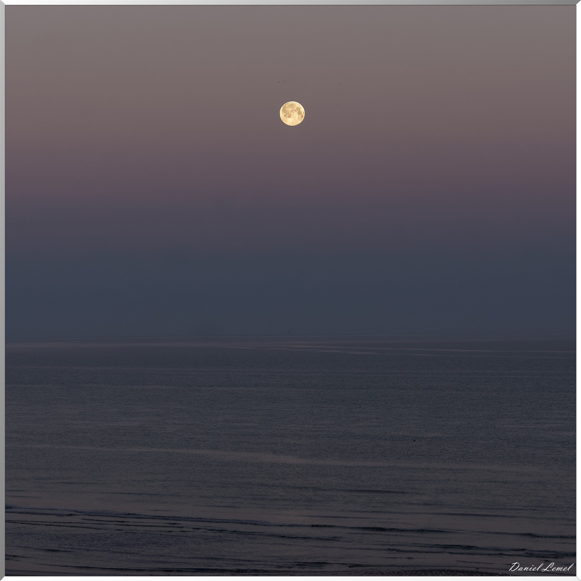 DSC0003 1 DxOW