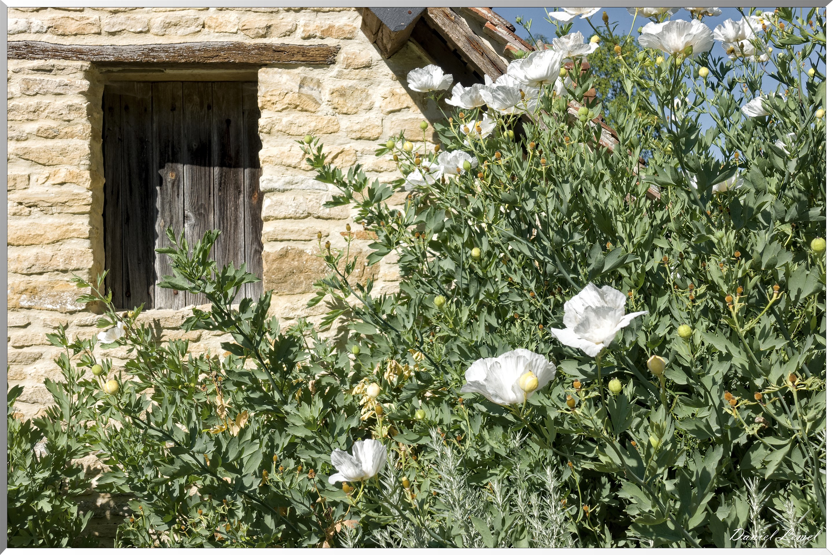 Jardins du Pays d'Auge