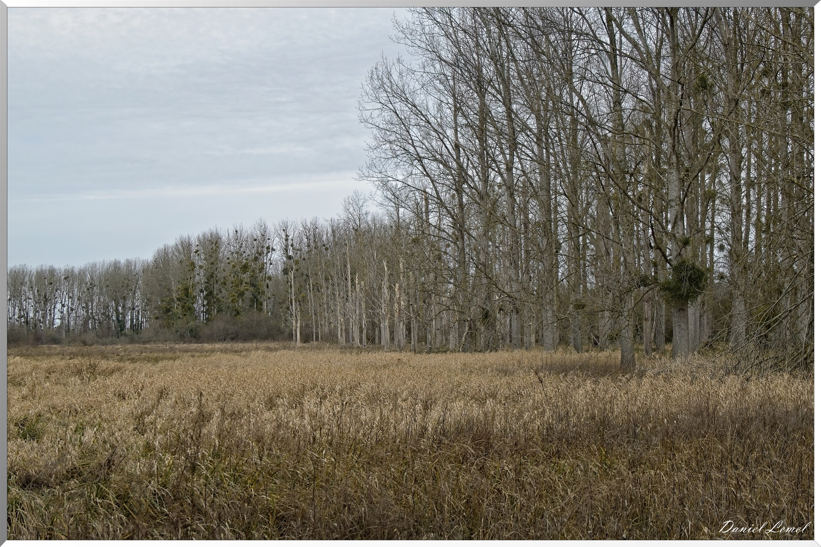 Marais de la Touques