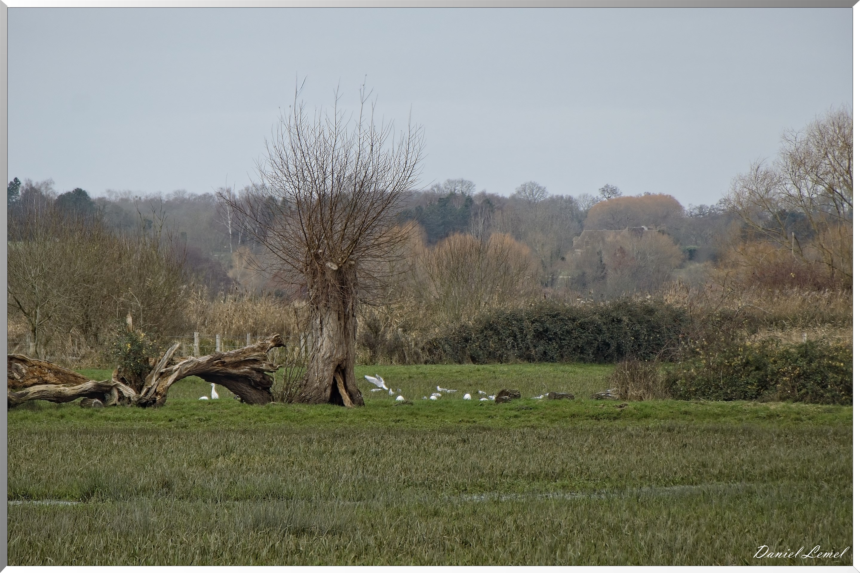 Marais de la Touques