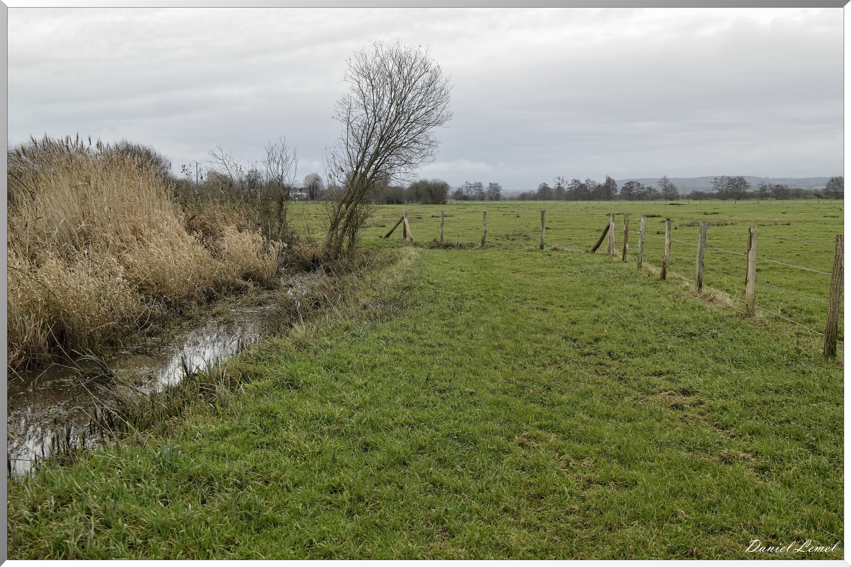 Marais de la Touques