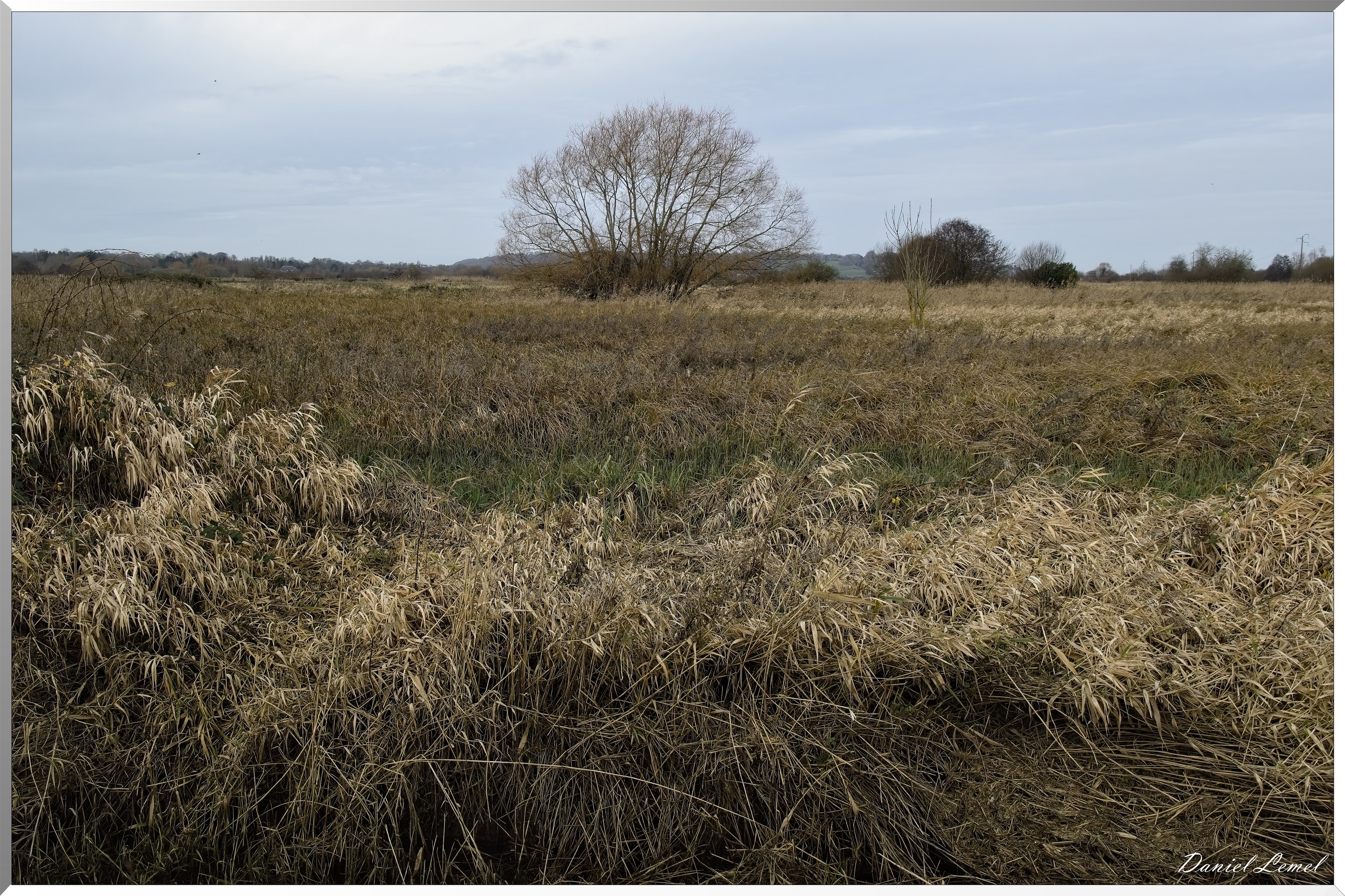 Marais de la Touques