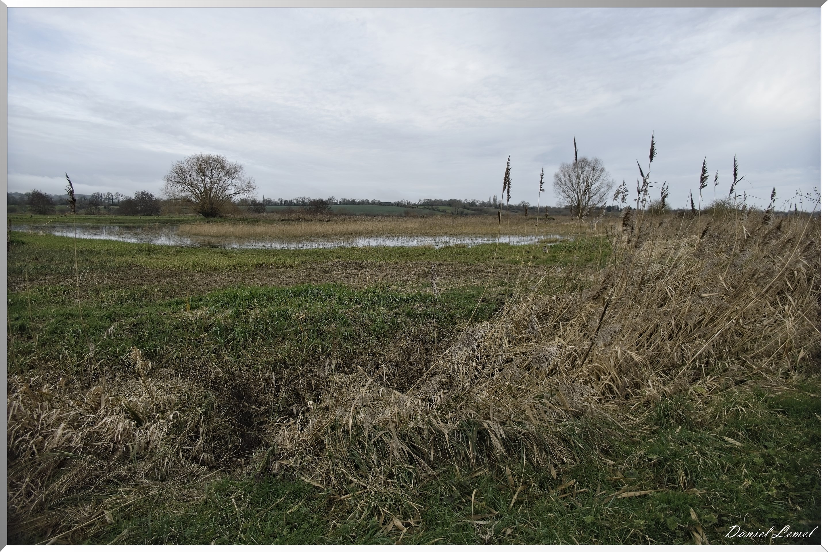 Marais de la Touques