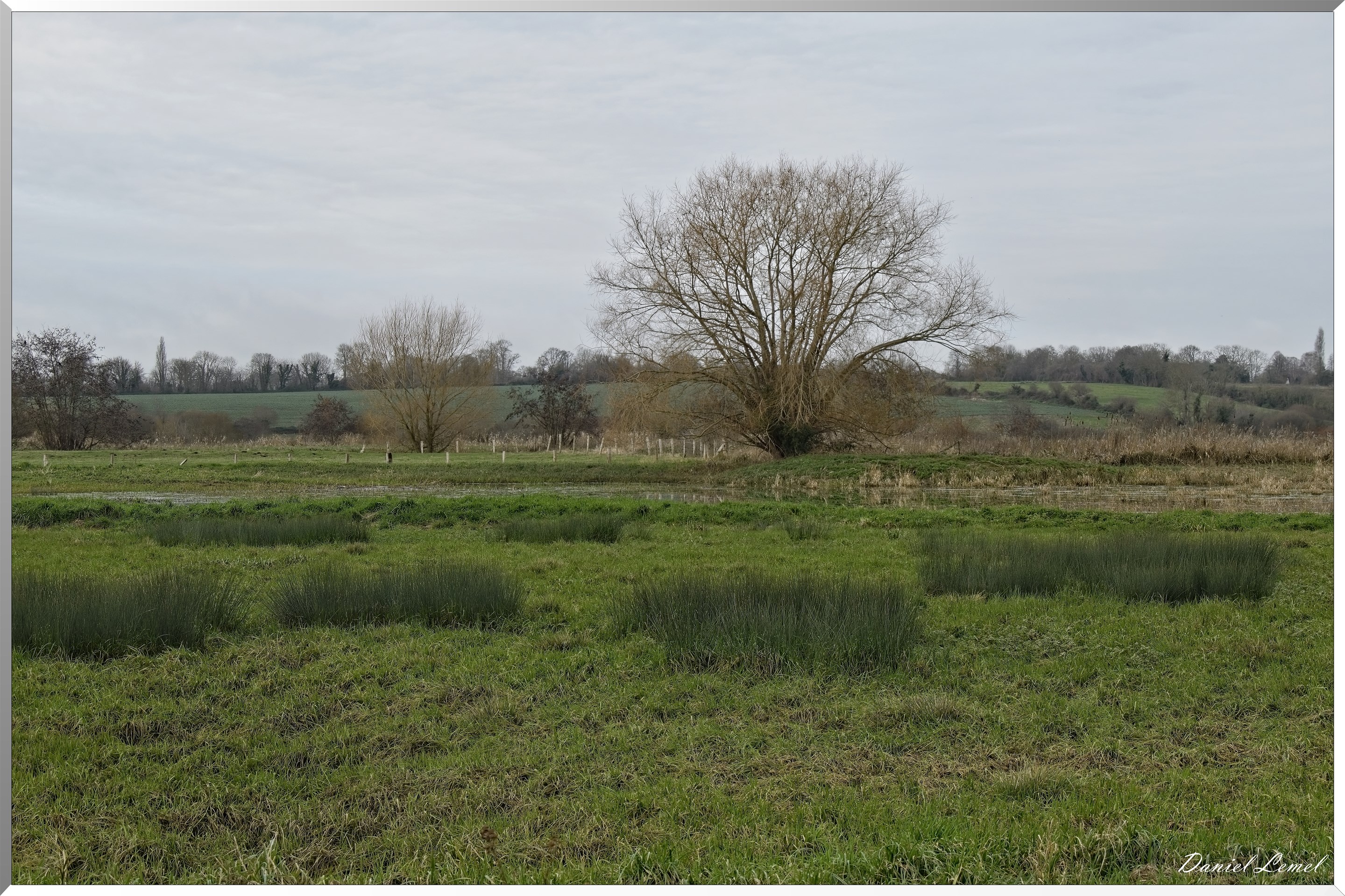Marais de la Touques