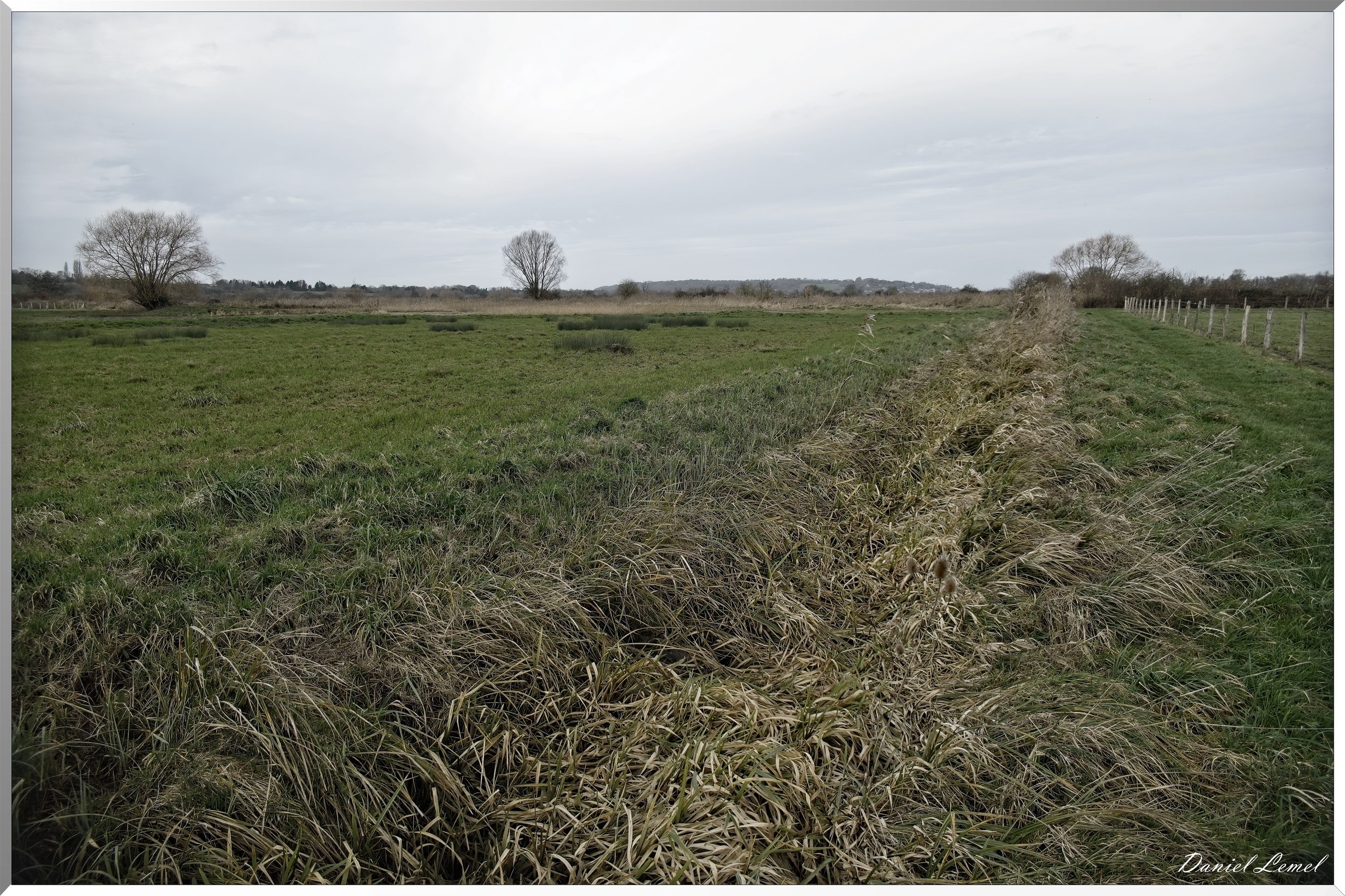 Marais de la Touques