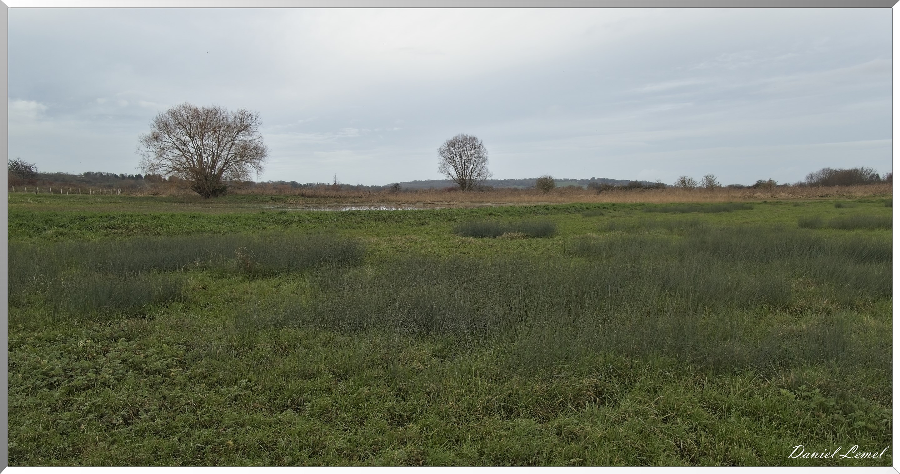 Marais de la Touques