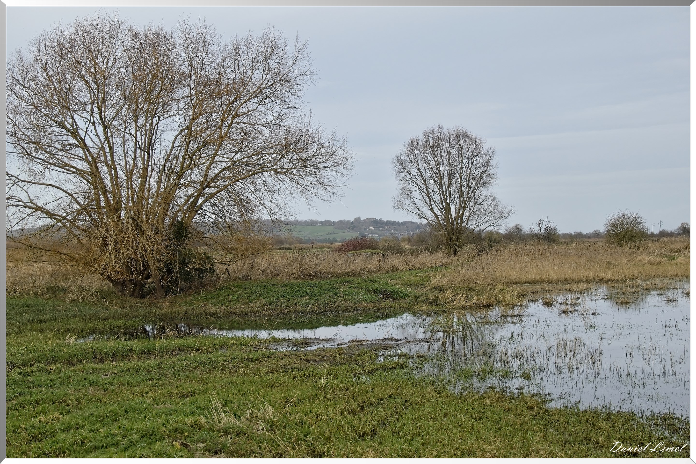 Marais de la Touques