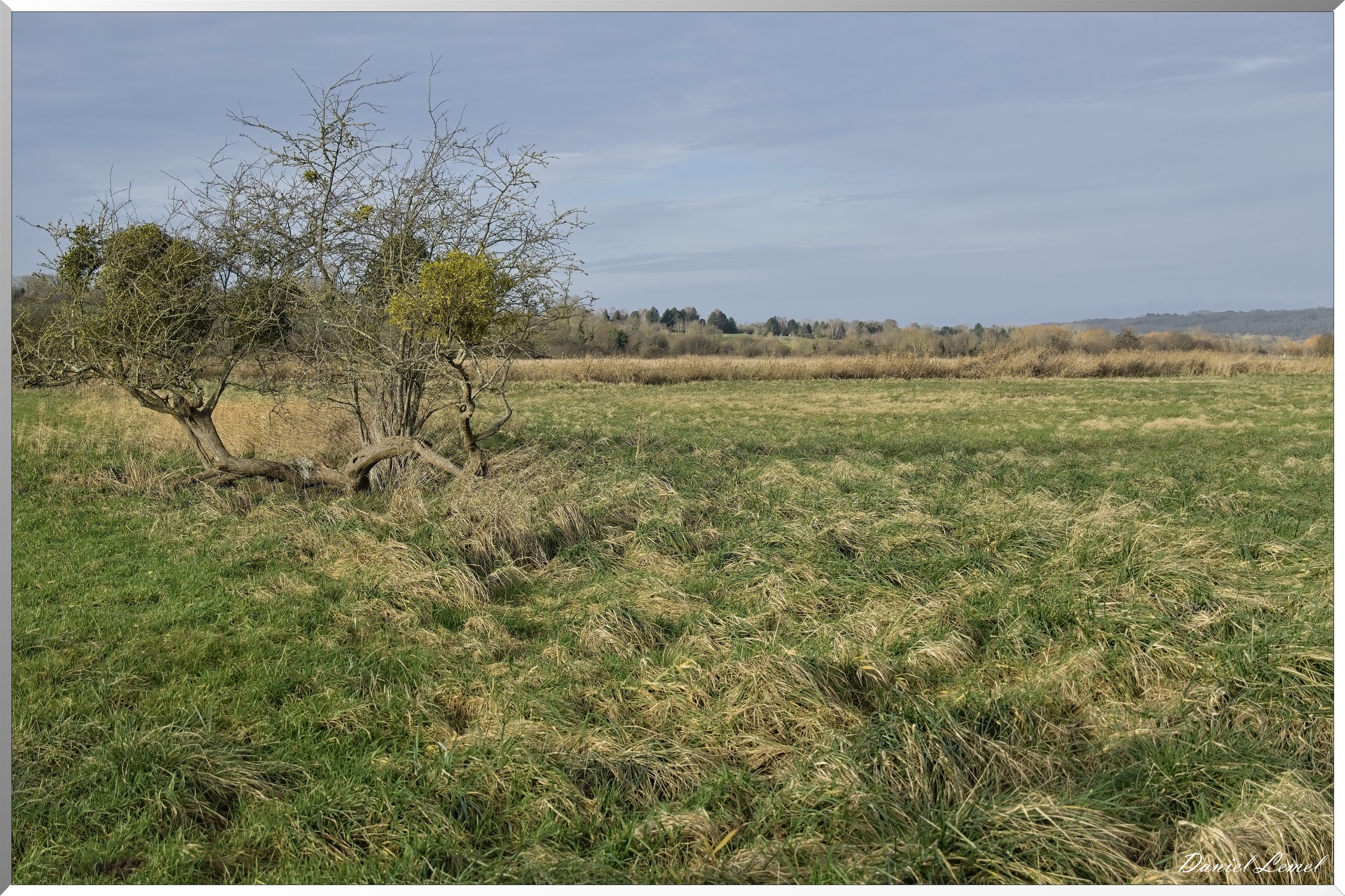 Marais de la Touques