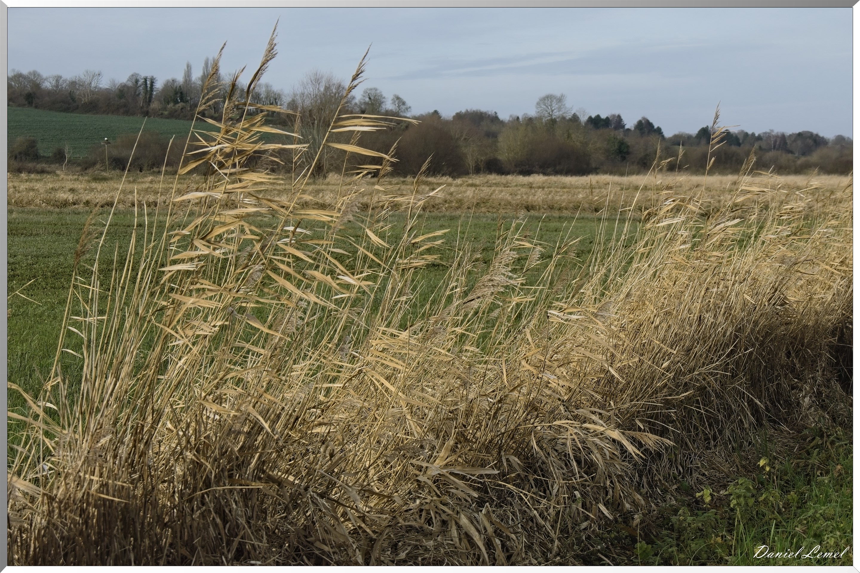 Marais de la Touques