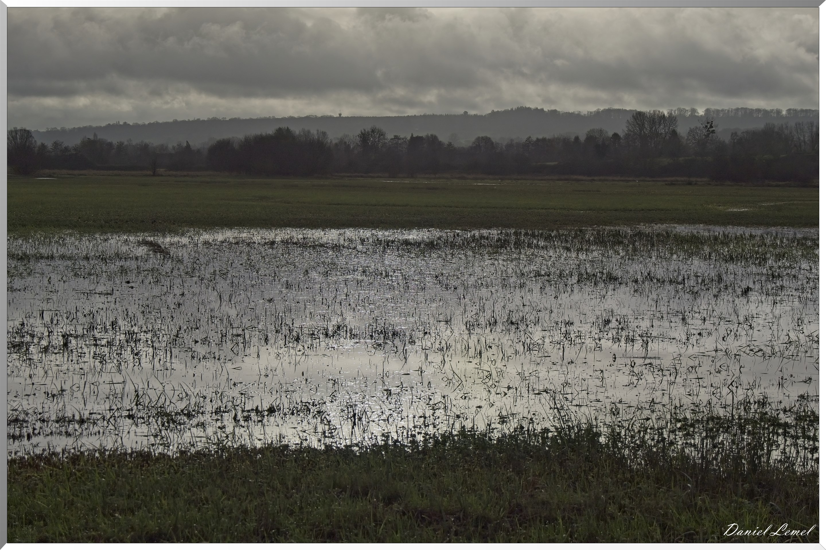 Marais de la Touques