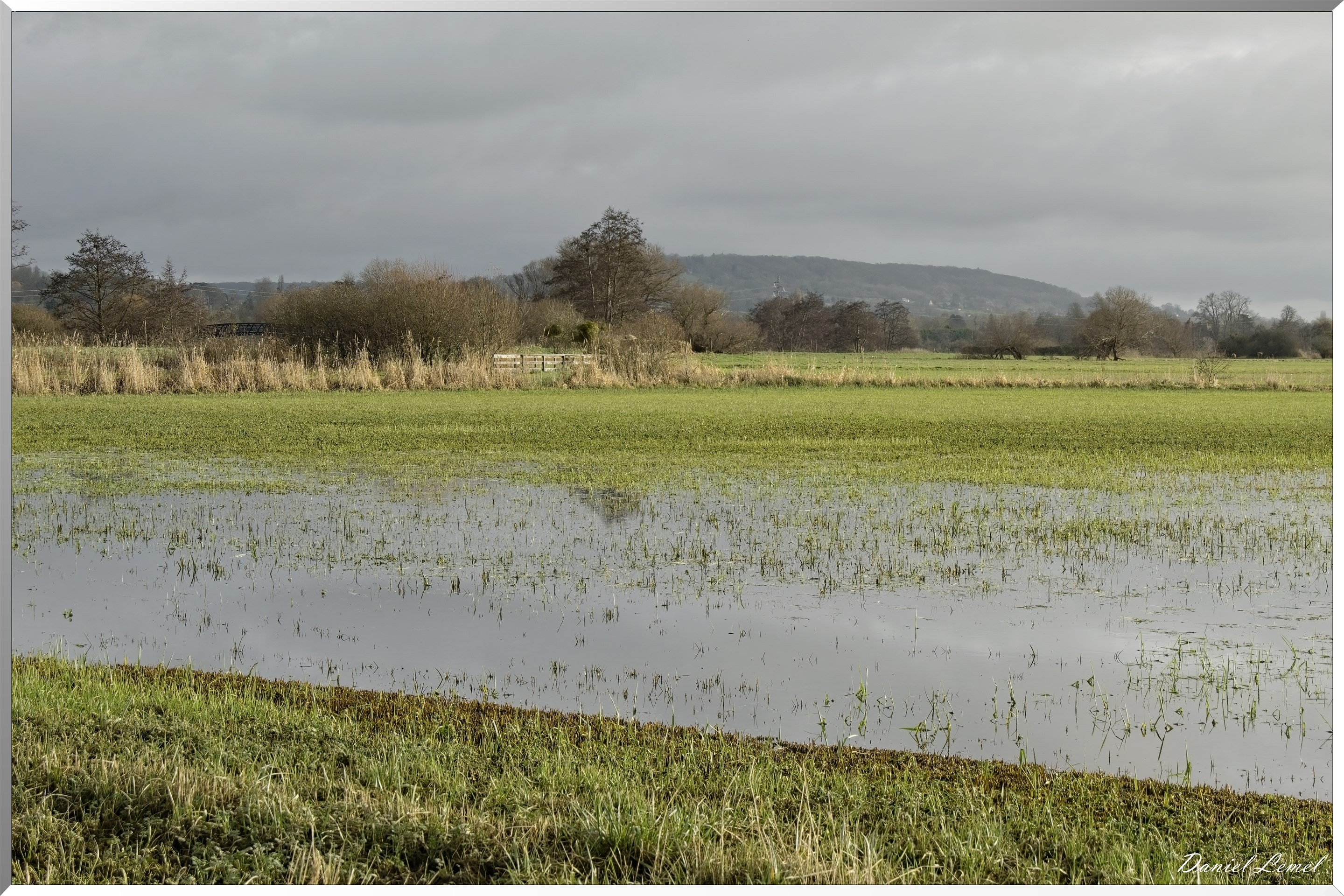 Marais de la Touques