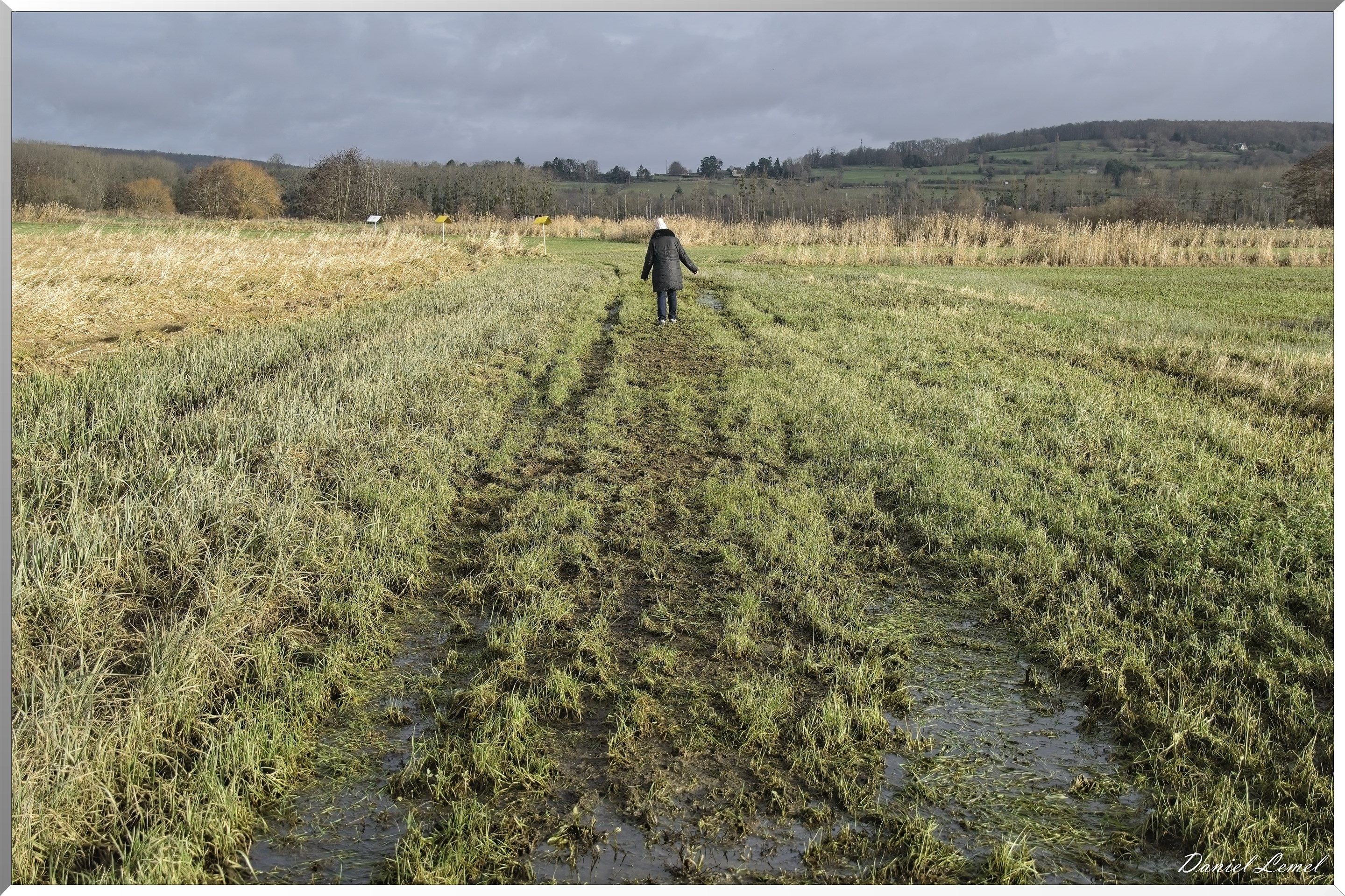 Marais de la Touques