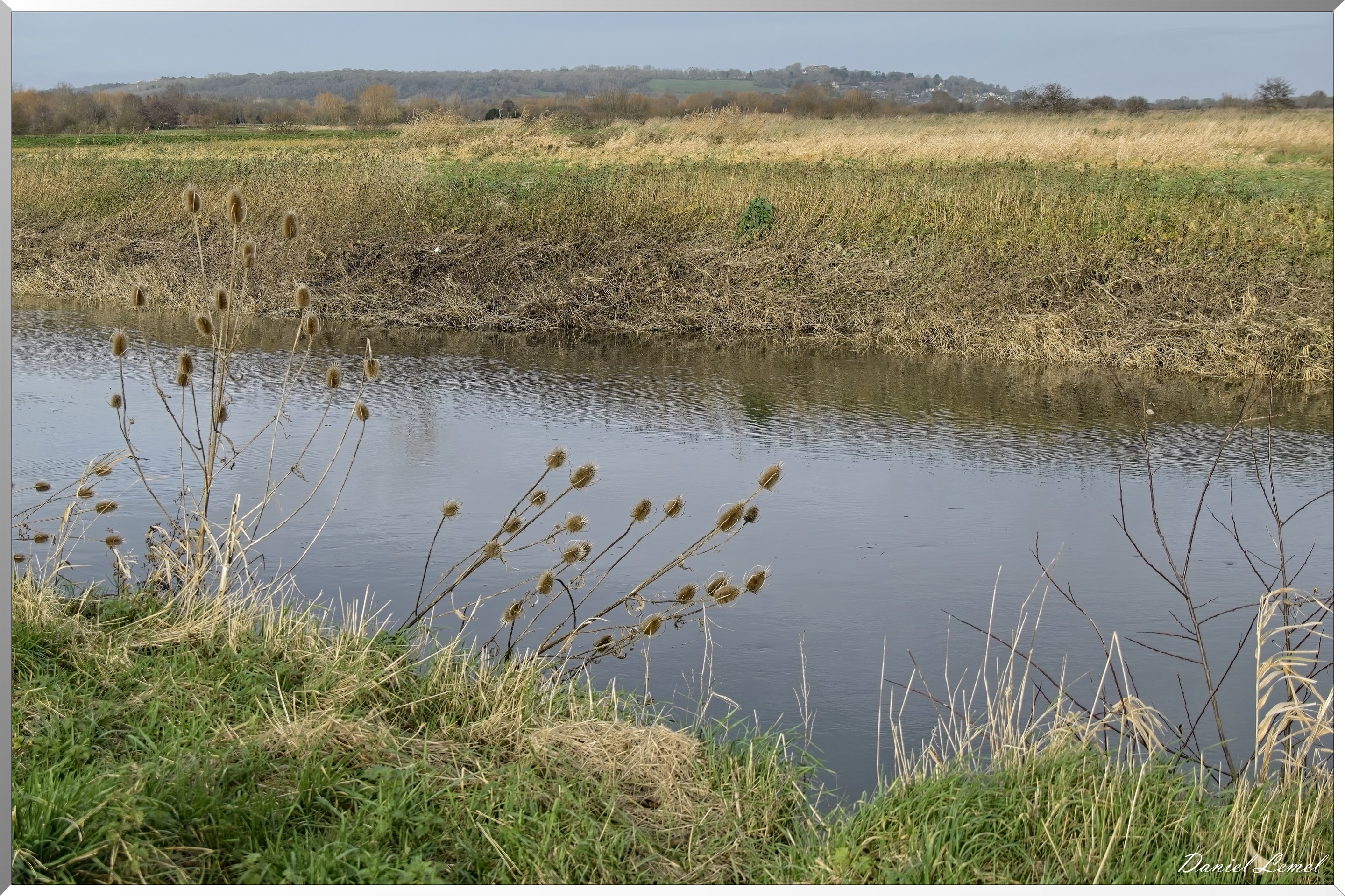Marais de la Touques