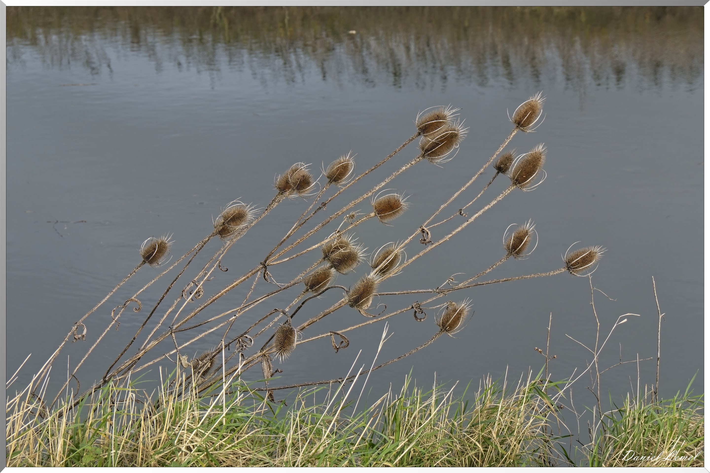 Marais de la Touques