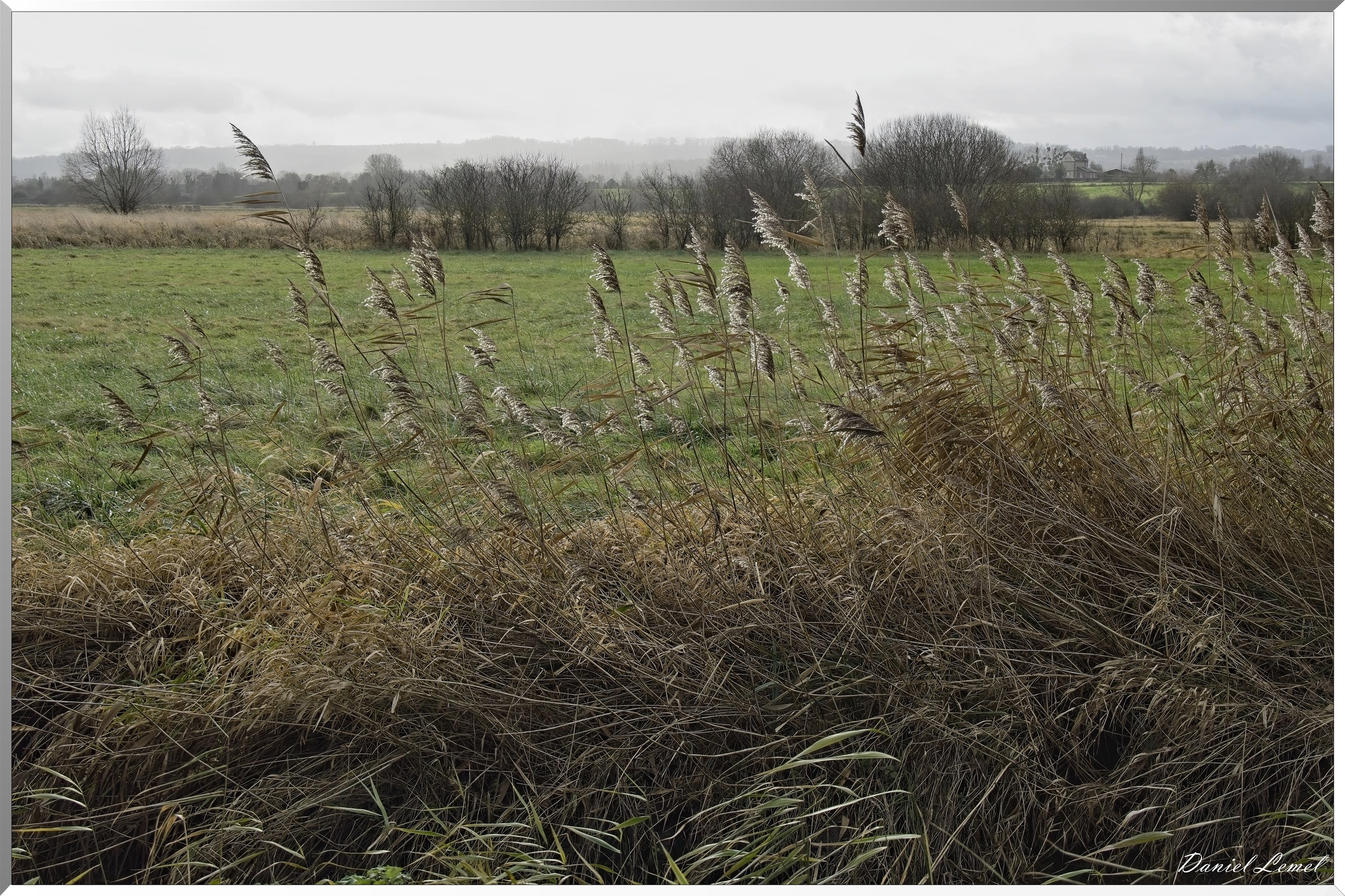 Marais de la Touques