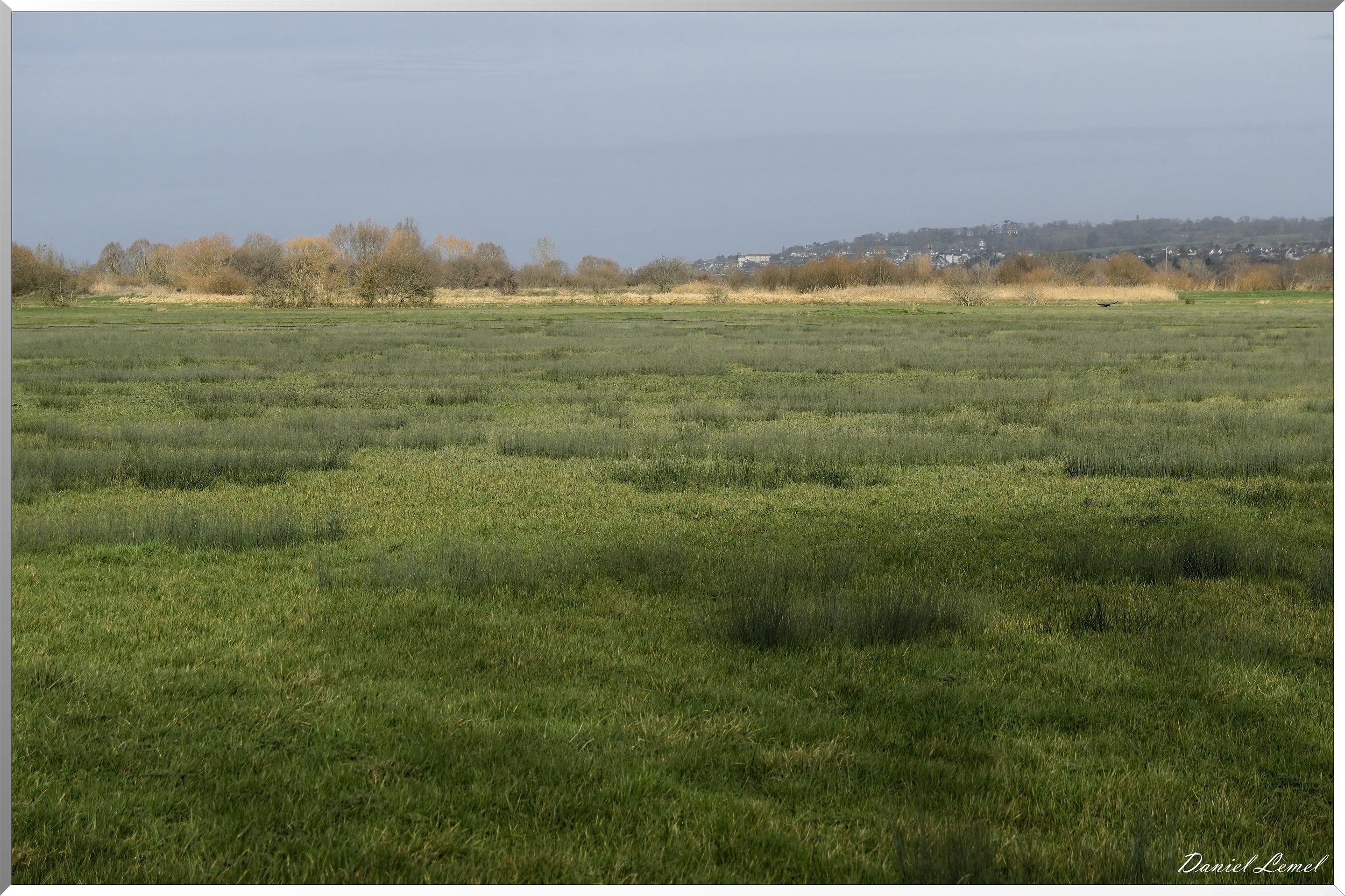 Marais de la Touques