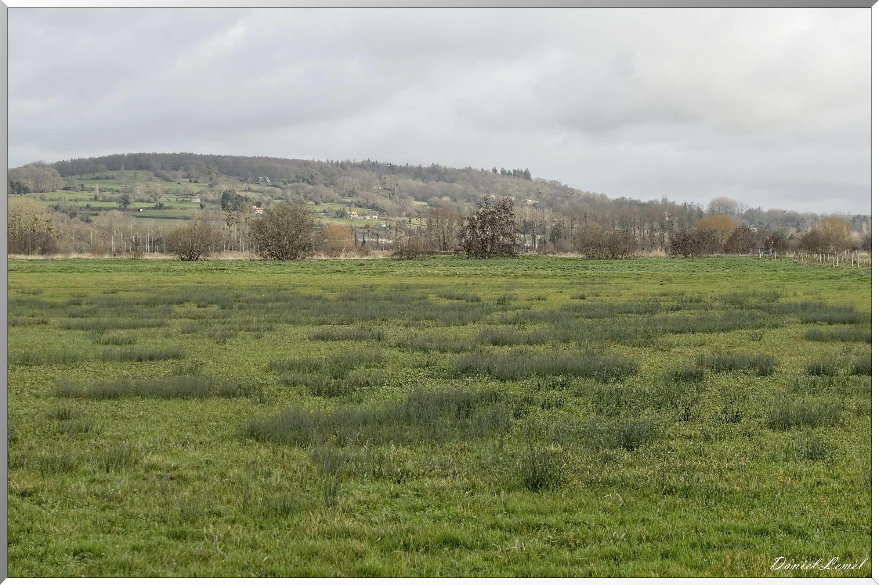 Marais de la Touques