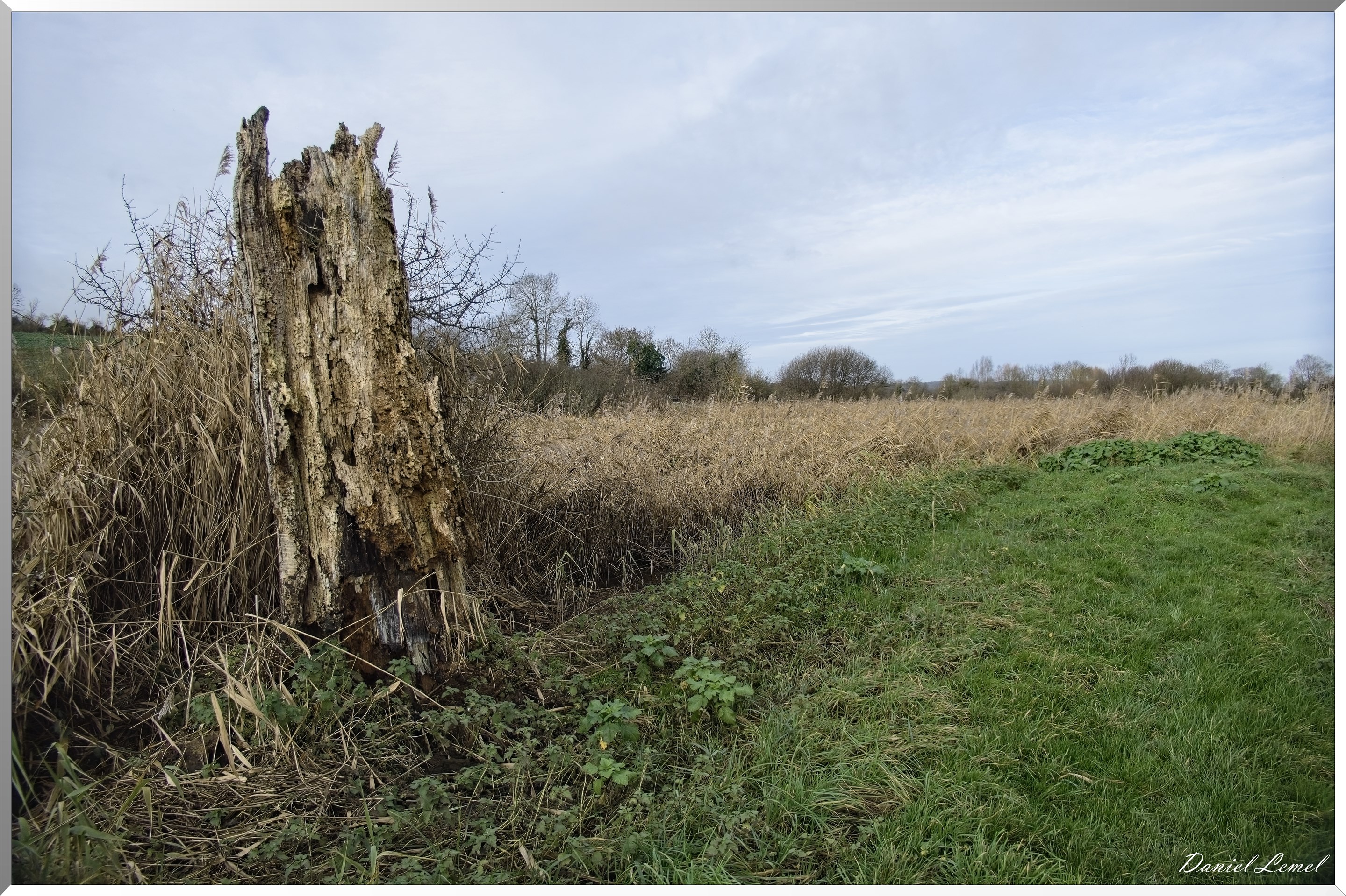 Marais de la Touques