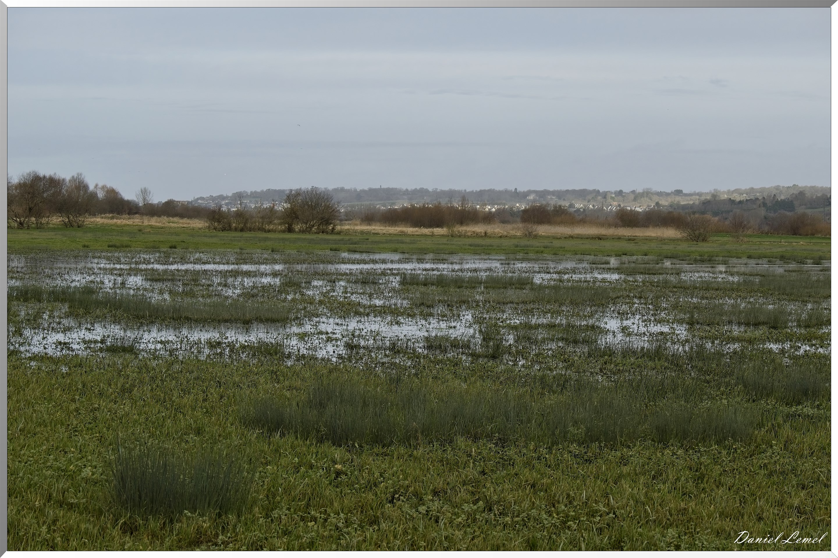 Marais de la Touques