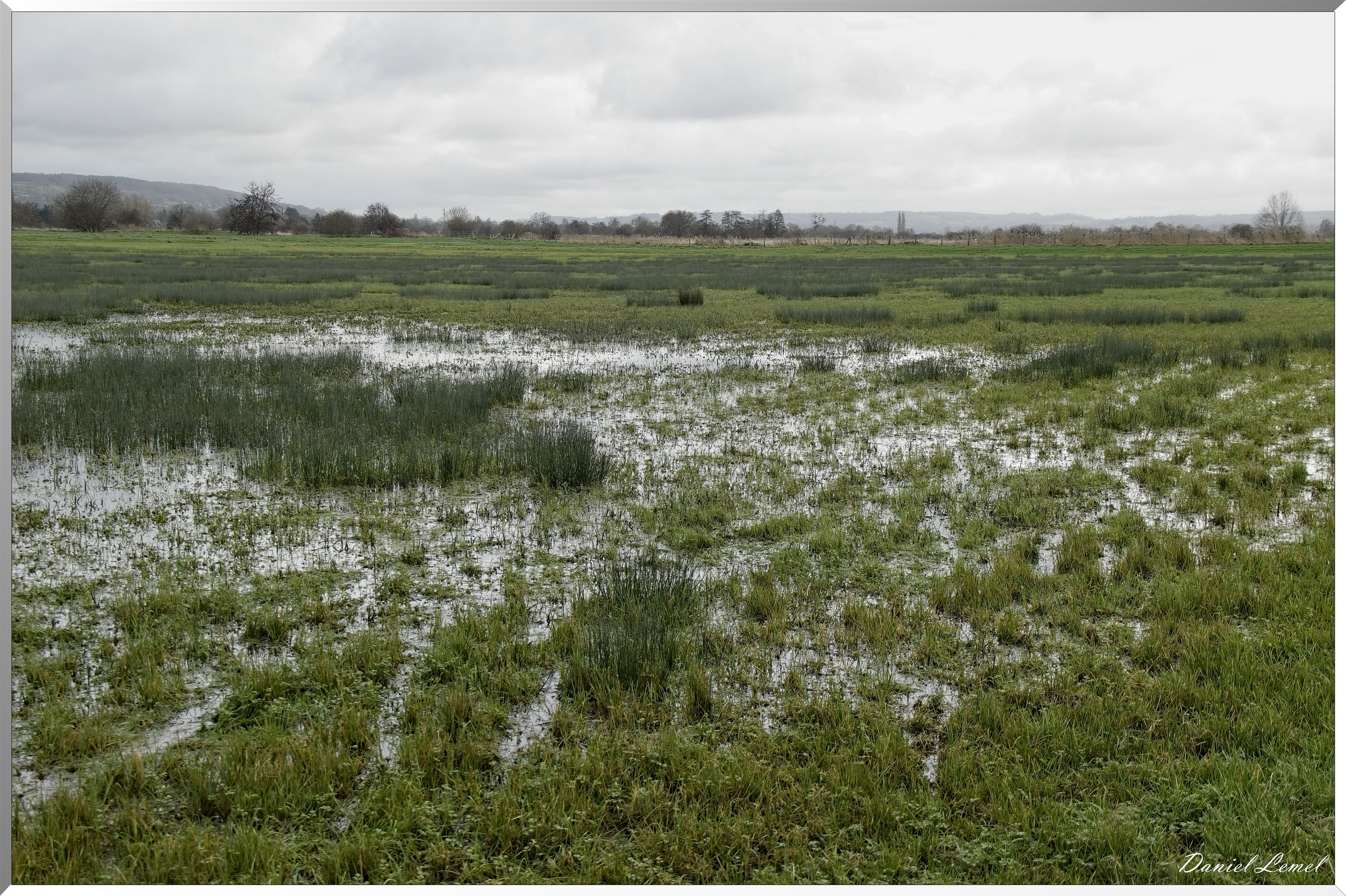 Marais de la Touques