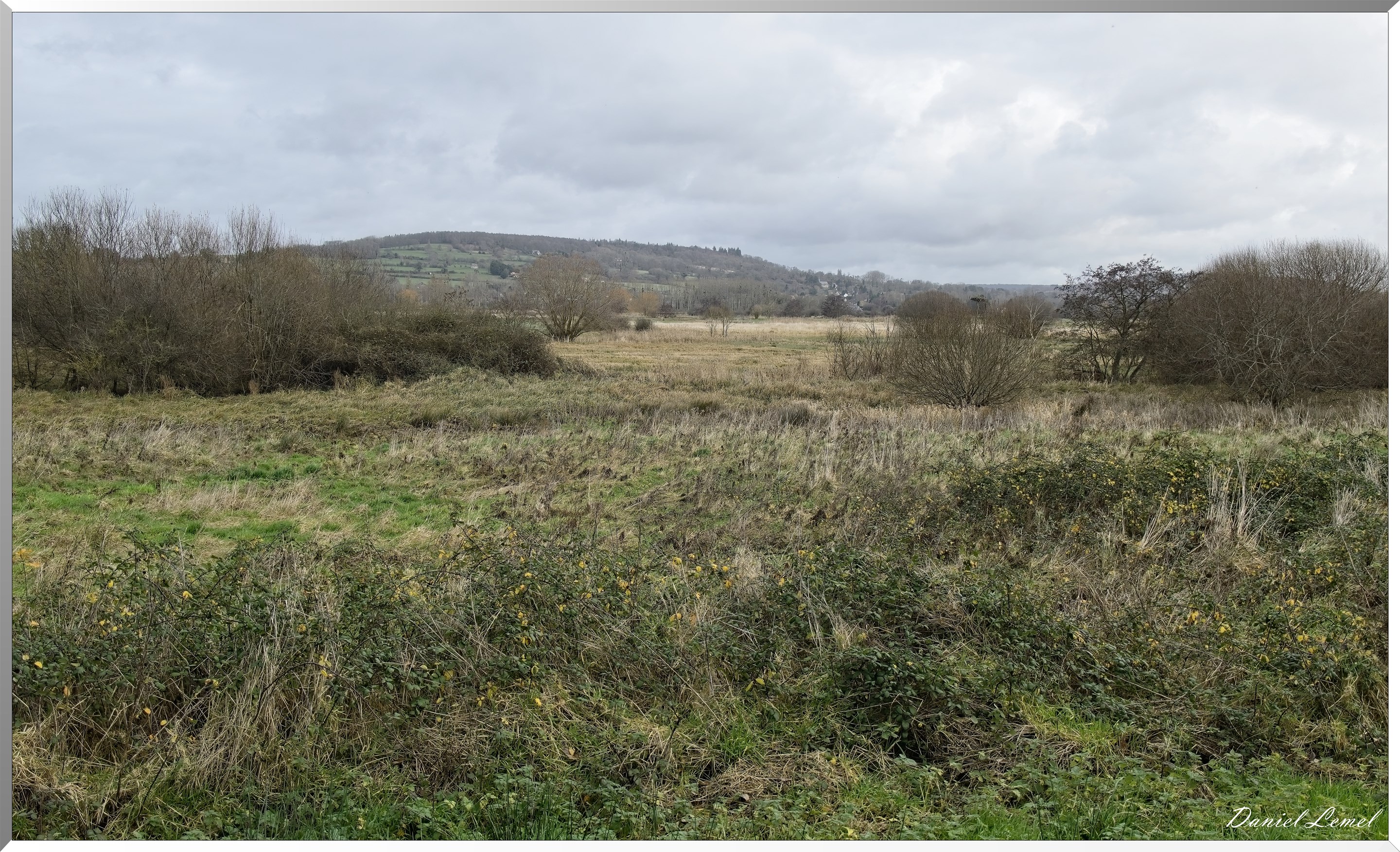 Marais de la Touques