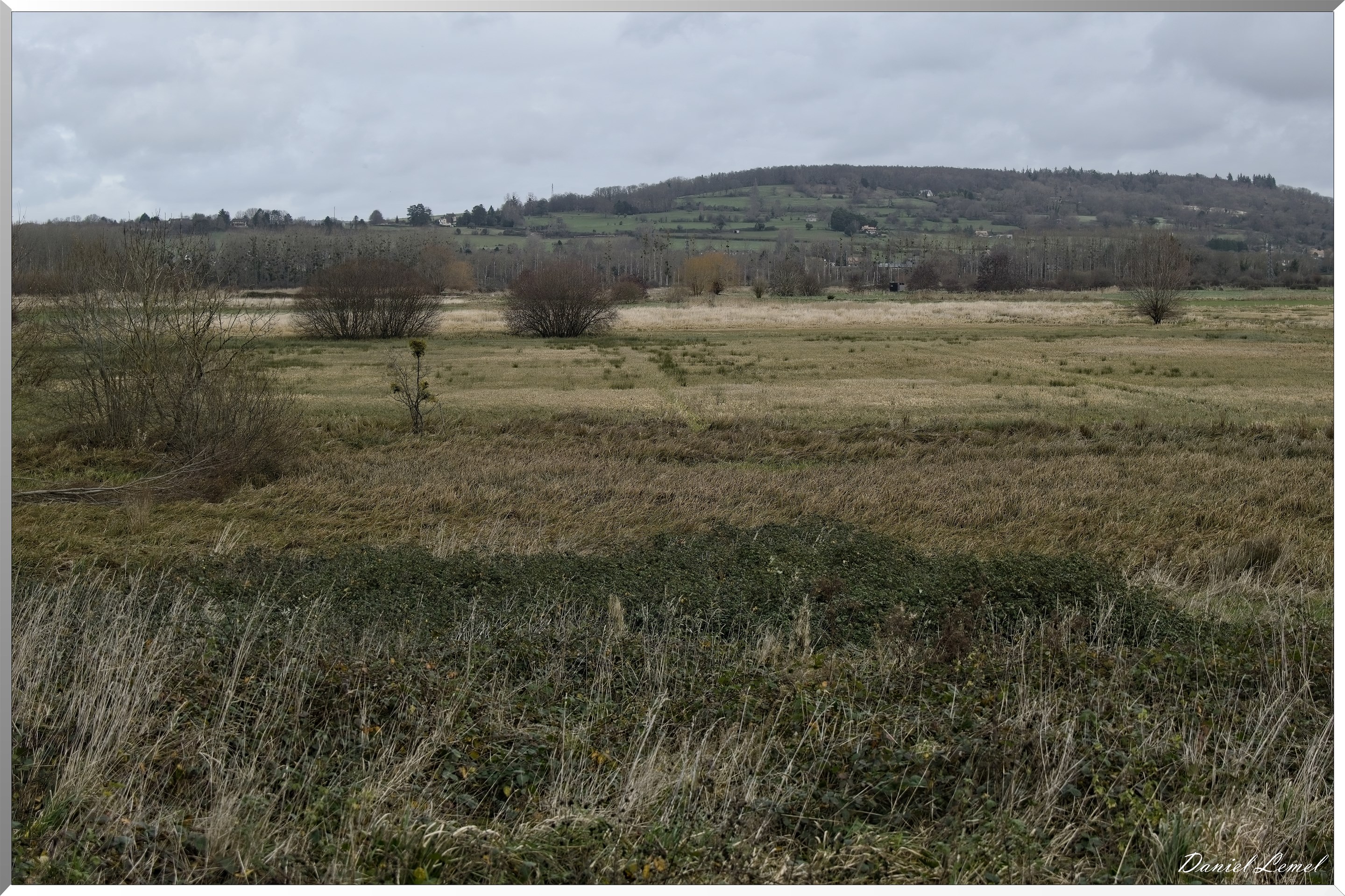 Marais de la Touques
