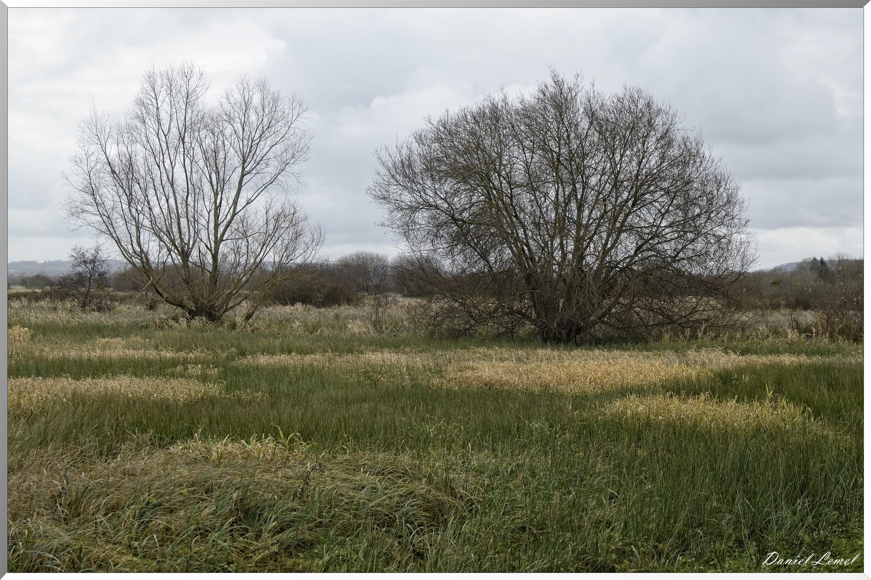 Marais de la Touques