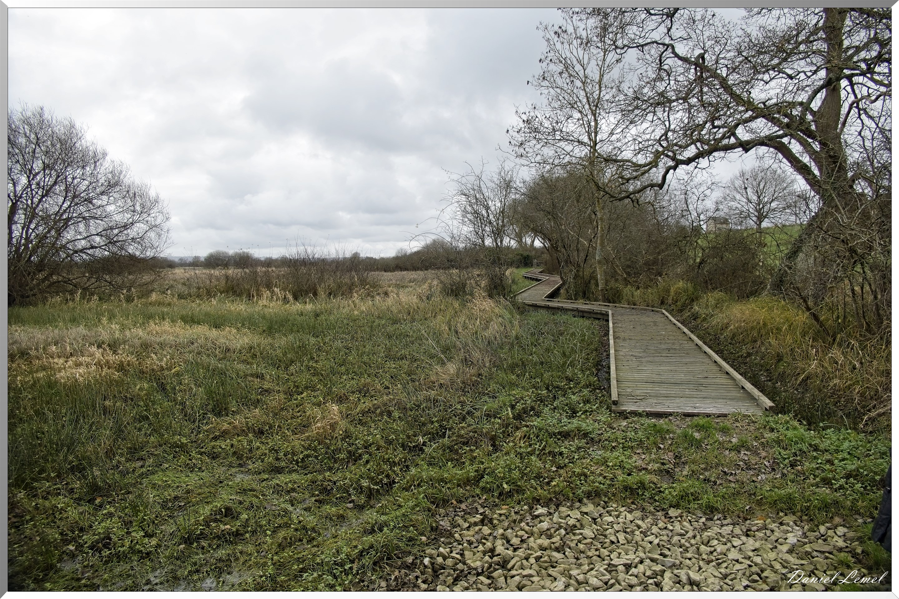 Marais de la Touques