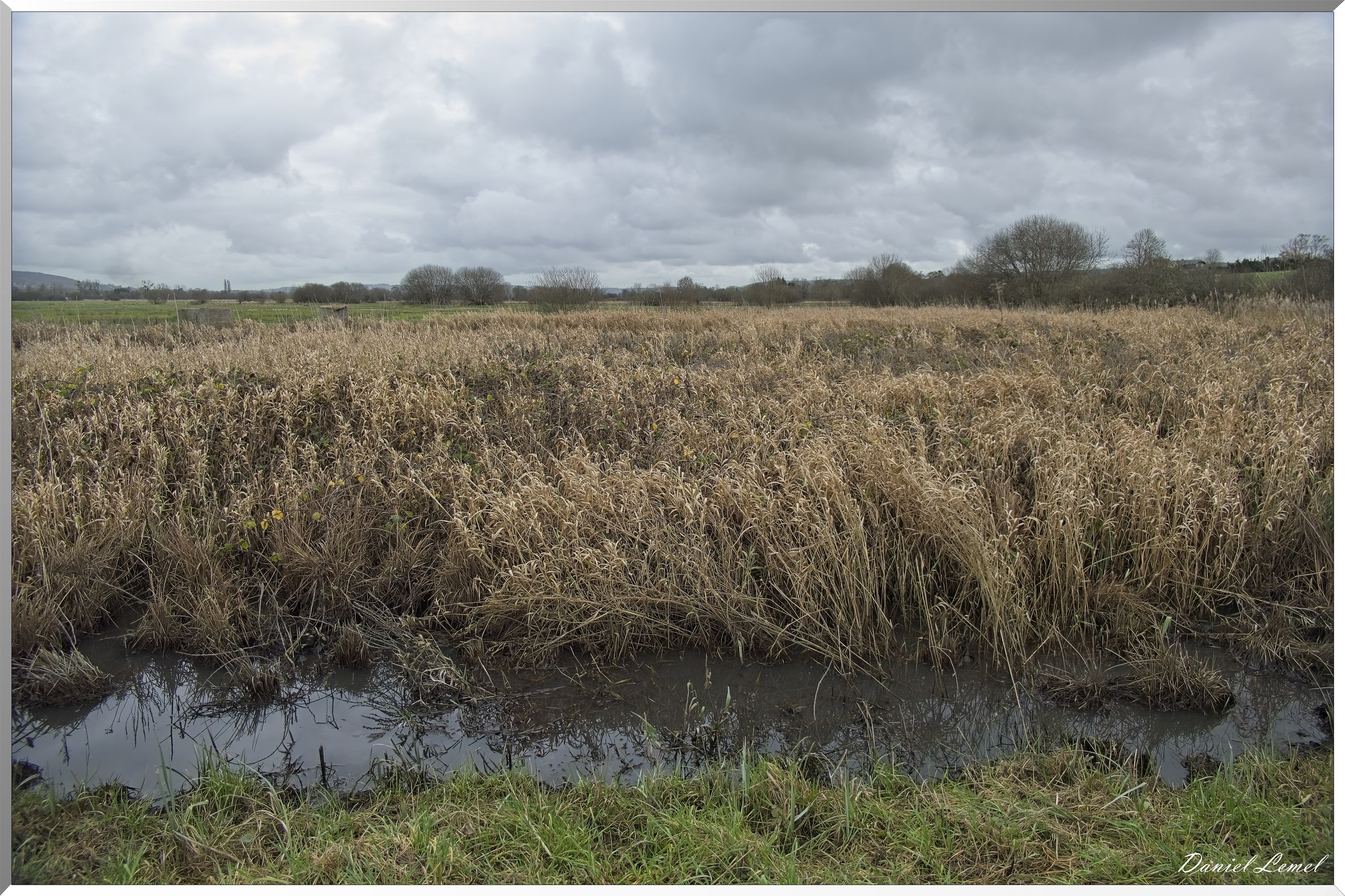 Marais de la Touques