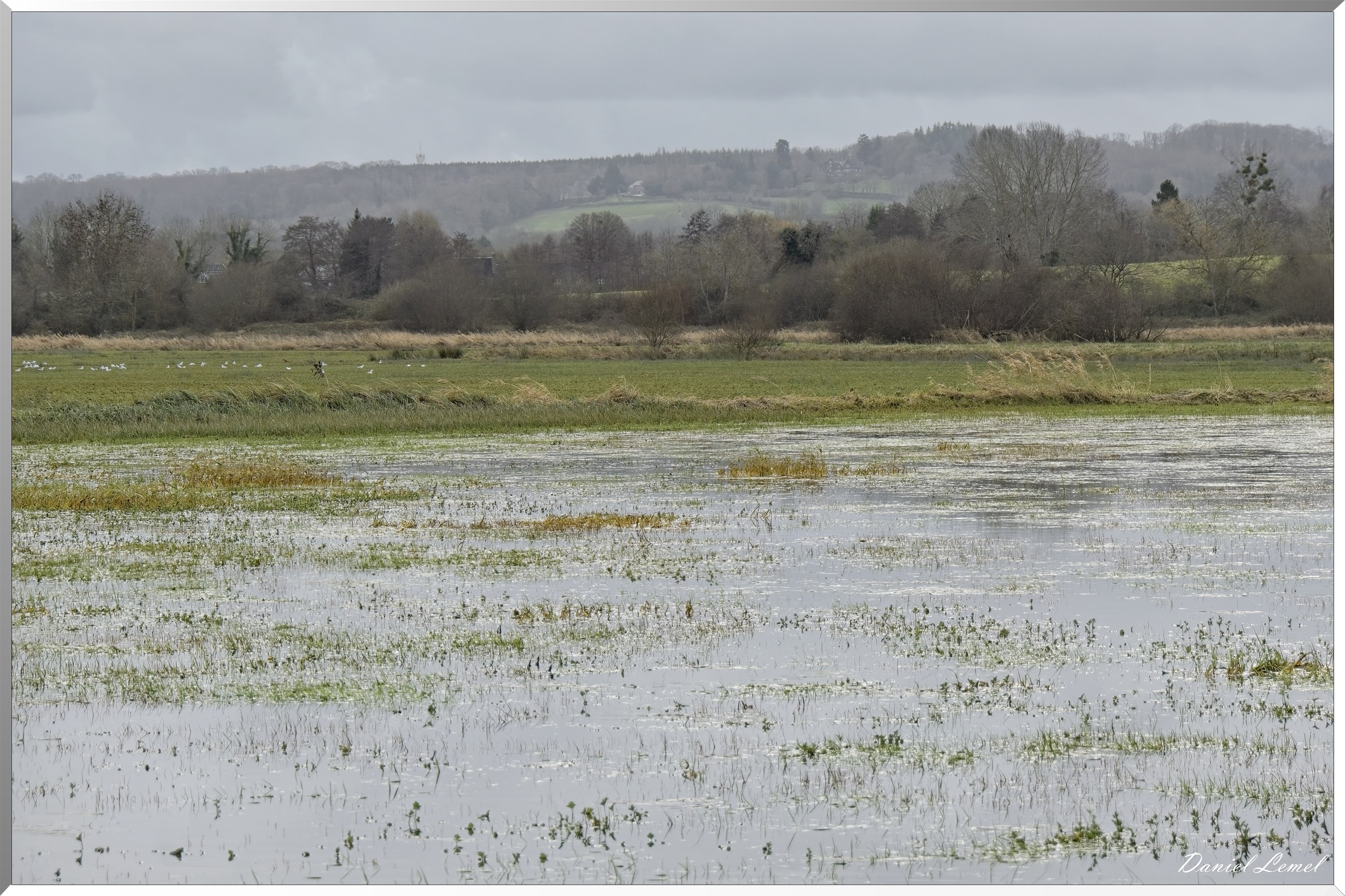 Marais de la Touques