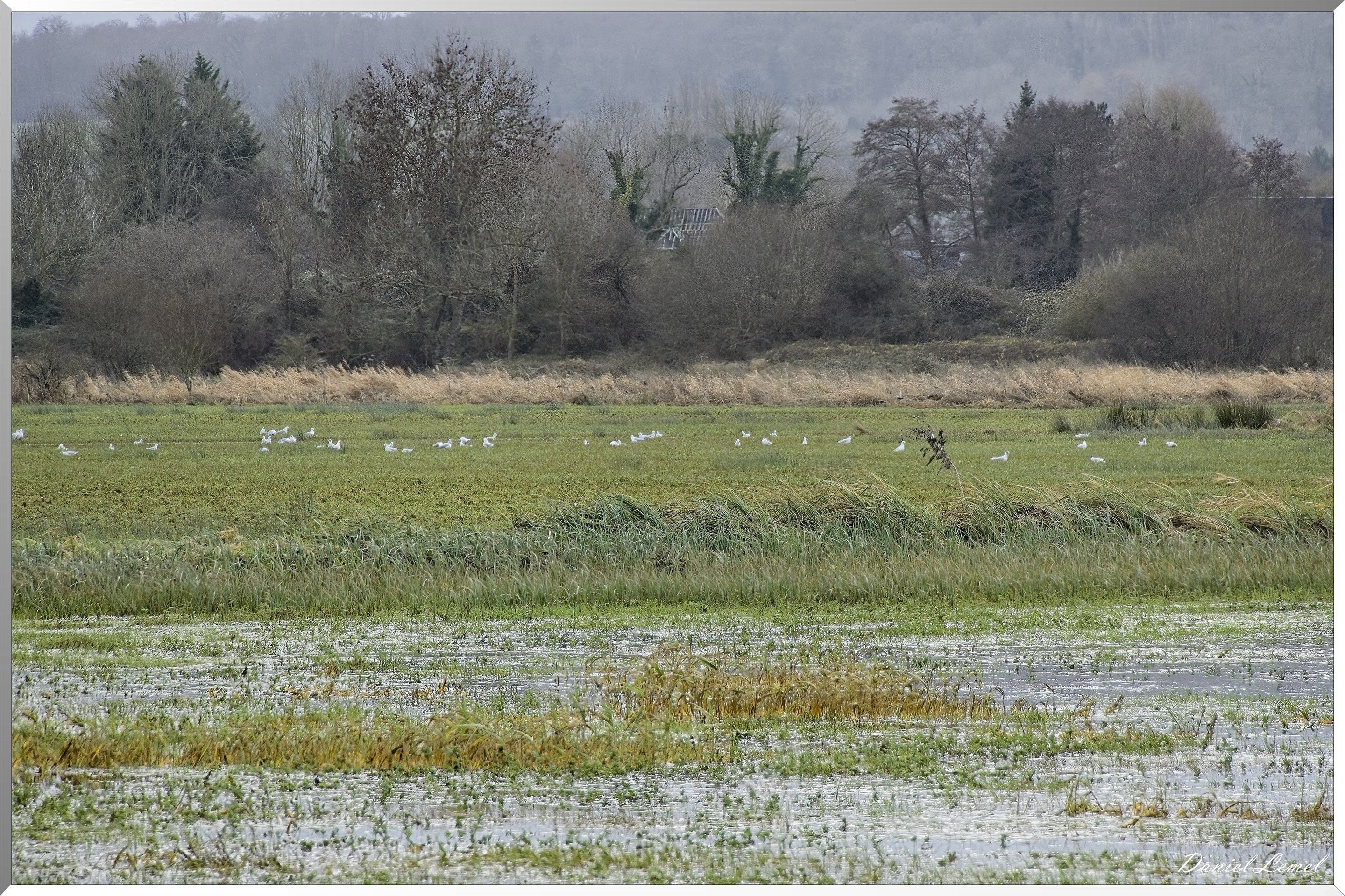 Marais de la Touques