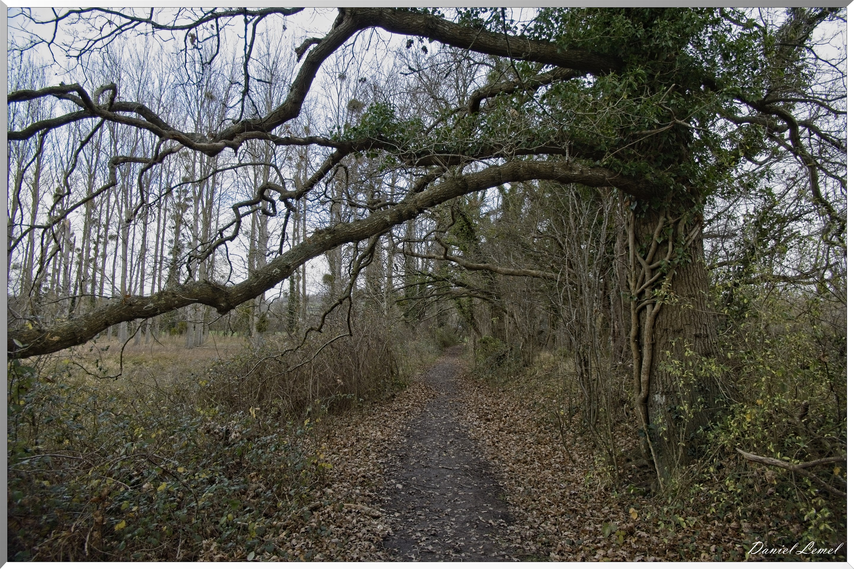 Marais de la Touques