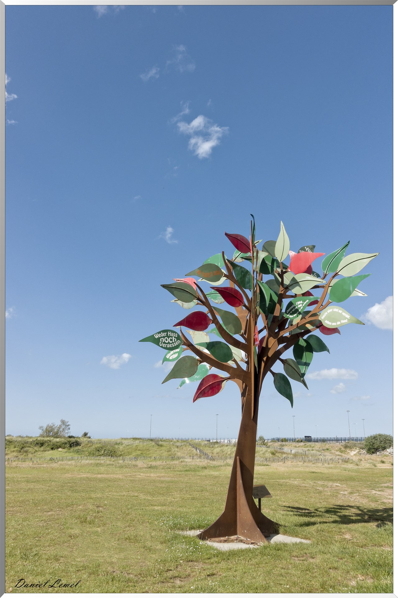 Arbre de la liberté